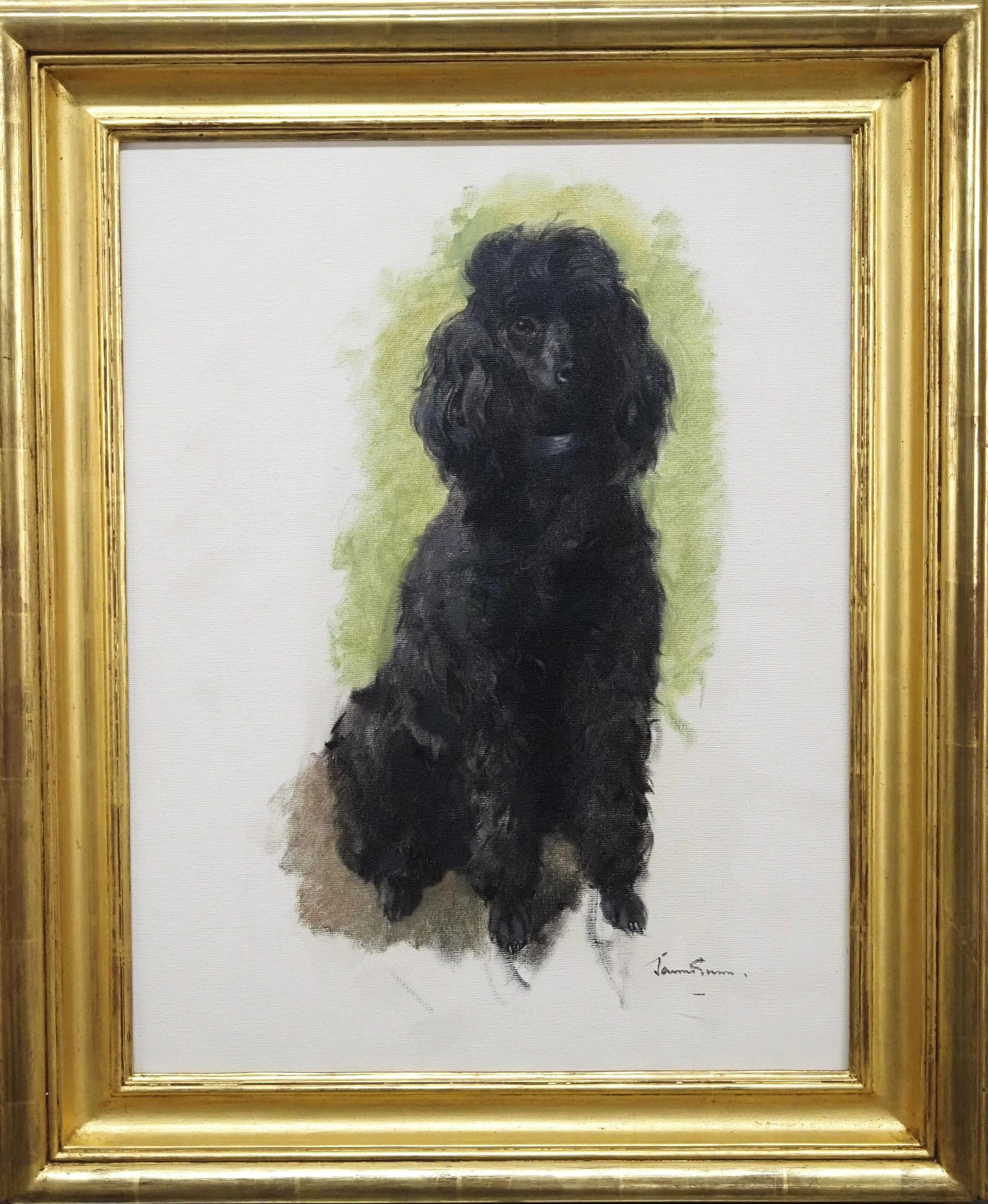 Herbert James Gunn Animal Painting - 'Alphonse' - Study of a Poodle