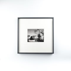 Herbert List "Young man under pine trees" Estate-Stamped Framed Print, 1936