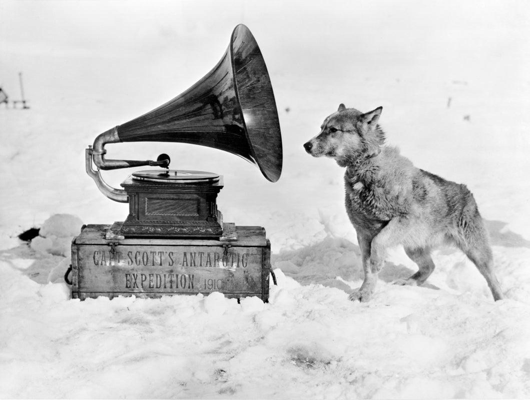 "Ponting: Chris & Gramaphone" von Herbert Ponting

Chris, der Schlittenhund, hört ein Grammophon in der Ross Dependency in der Antarktis, während Kapitän Robert Falcon Scotts Terra Nova Expedition in die Antarktis, 1911.

Ungerahmt
Papierformat: 16"