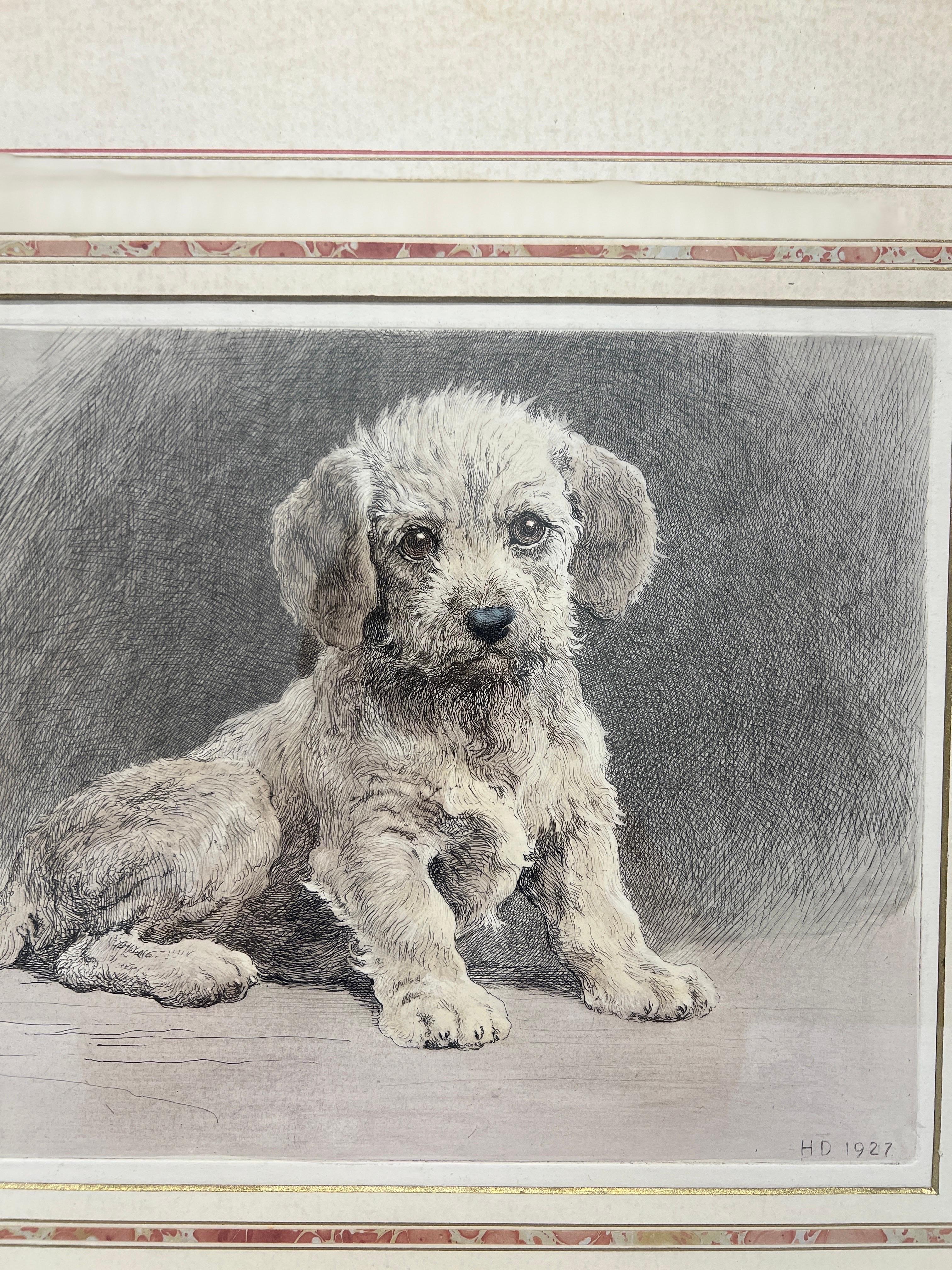 Herbert Thomas Dicksee (British, 1862-1942) “Dandie Pup” Etching C. 1927 1