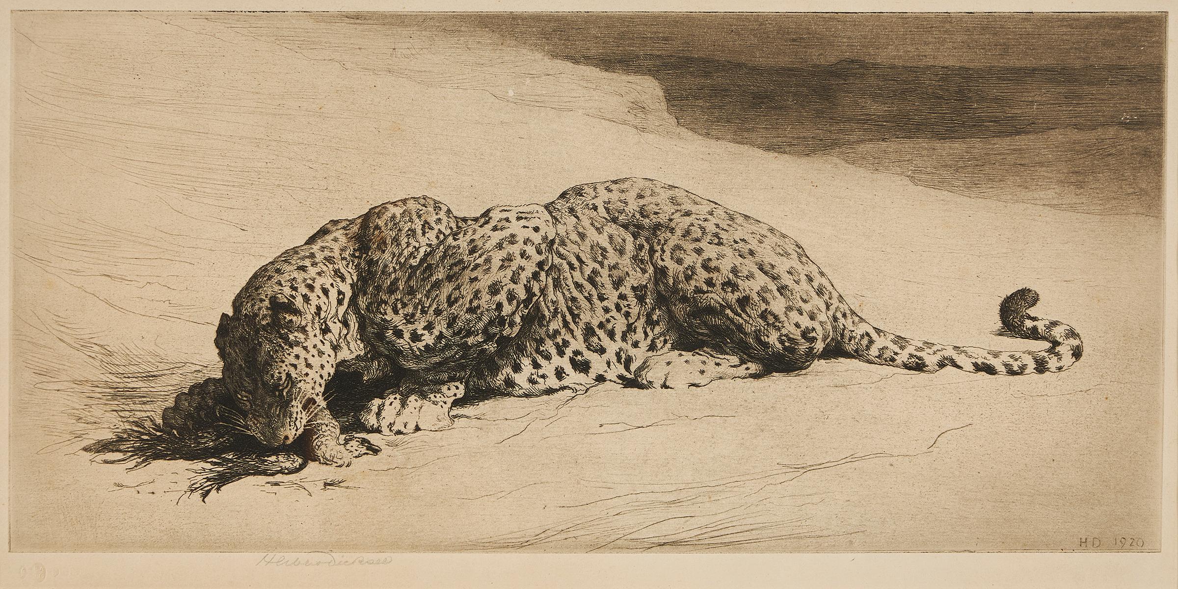 Herbert Thomas Dicksee (1862-1942), 'Leopard with Jungle Fowl', etching, signed in pencil, dated 1920, with label stating original artist's proof, framed.