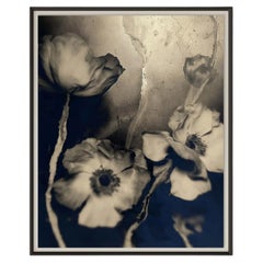Stampa fotografica in edizione limitata “Herbier Deux” di Christiane Lemieux, 32" x 40""
