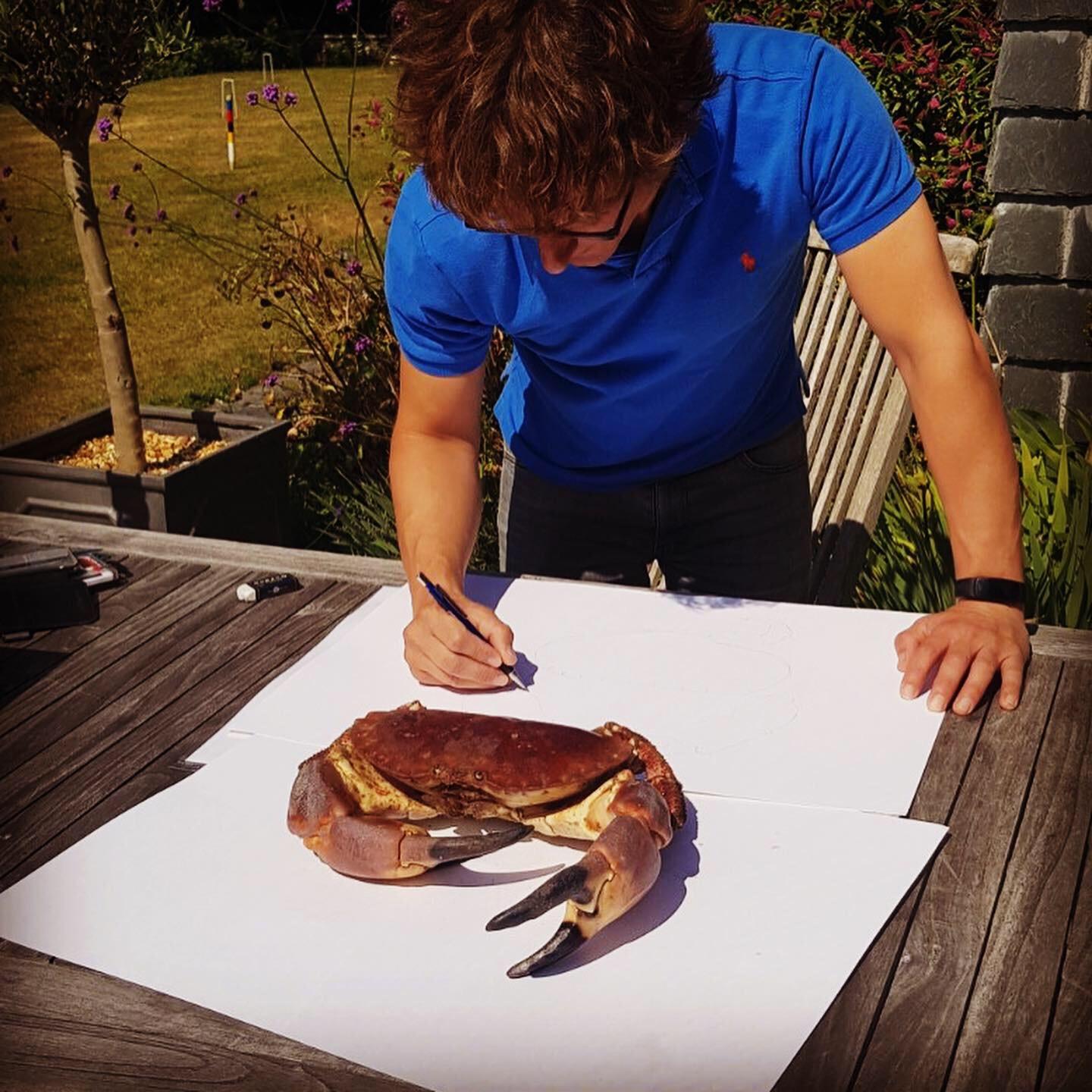 Glazed Hercules the Crab 'a Life-Sized Crab, Drawn and Released by Tom Rooth' For Sale