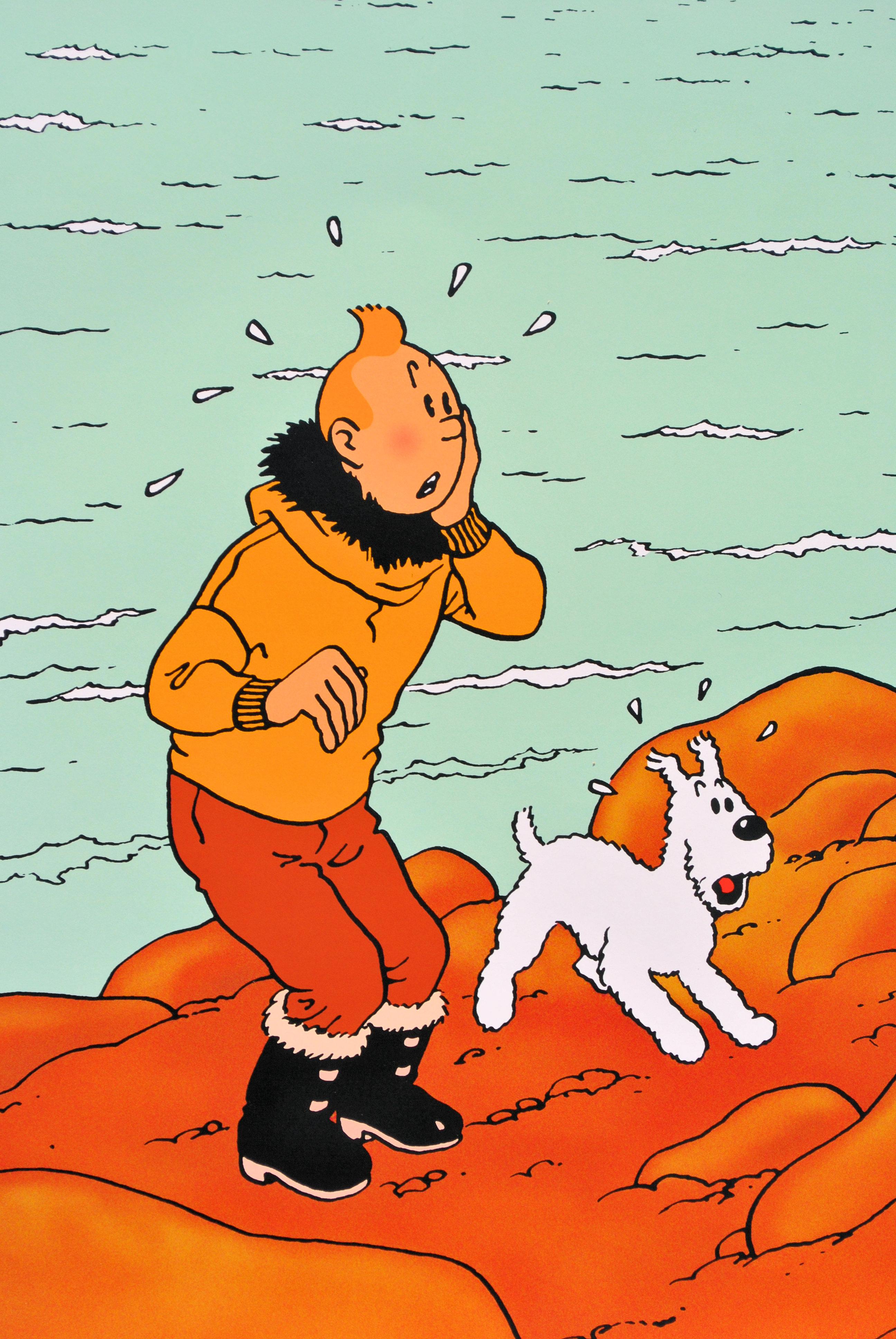 Hergé (1907-1983)
La estrella fugaz (L'étoile mystérieuse), 2024

Cartel oficial
Sobre papel grueso satinado 70 x 50 cm (c. 27,5 x 19,6 pulg.)

INFORMACIÓN :  Edición oficial y autorizada del Museo Hergé (Lovaina, Bélgica). Este cartel utiliza el