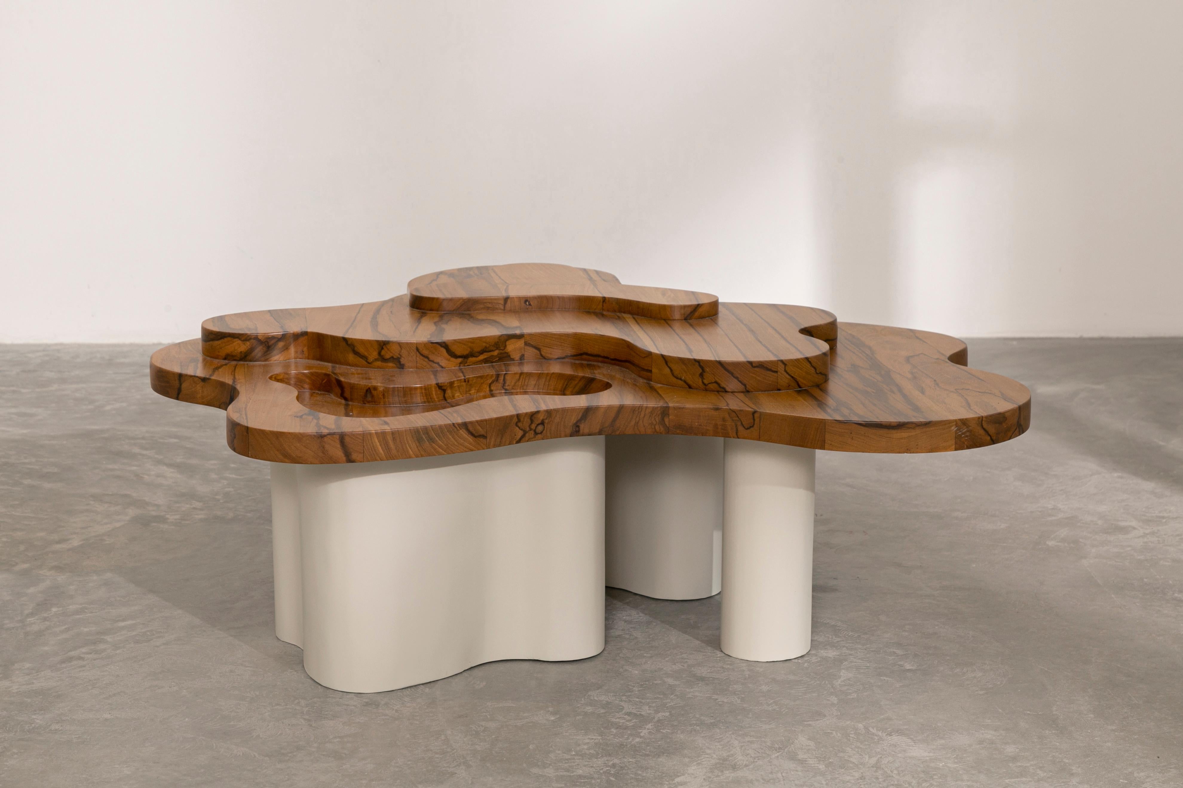 Herida-Tisch – Couchtisch aus Drachenholz und Metall, Tropische Depression (Panamaisch) im Angebot