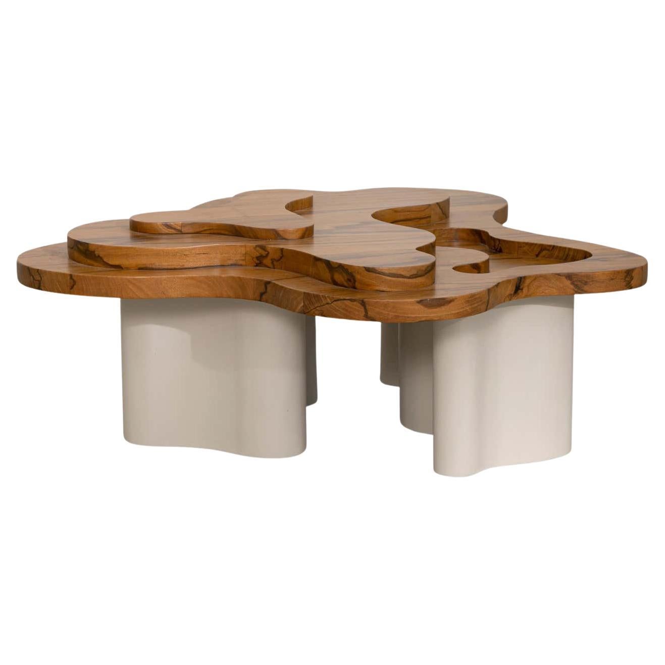 Herida-Tisch – Couchtisch aus Drachenholz und Metall, Tropische Depression im Angebot