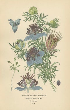 Heritage Blossoms: A Victorian Botanical Selection, 1896