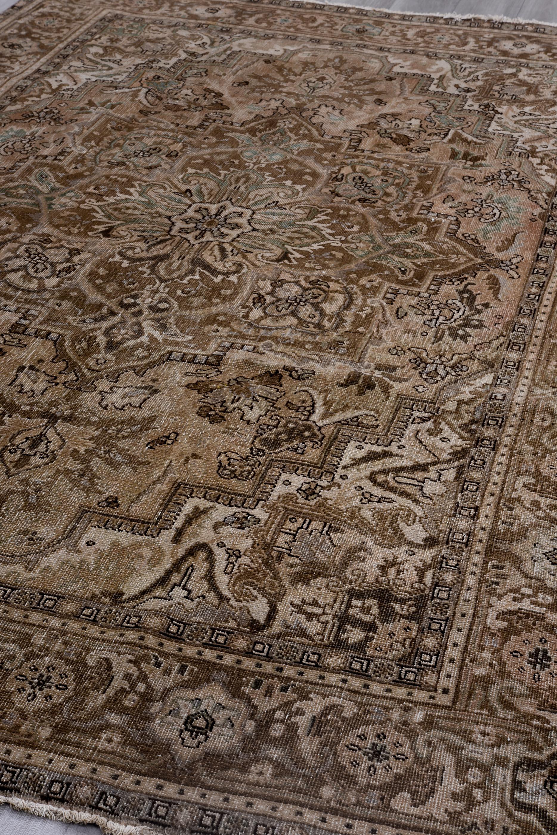 Heriz Rug Soft Earth Tones with Central Medallion For Sale 1