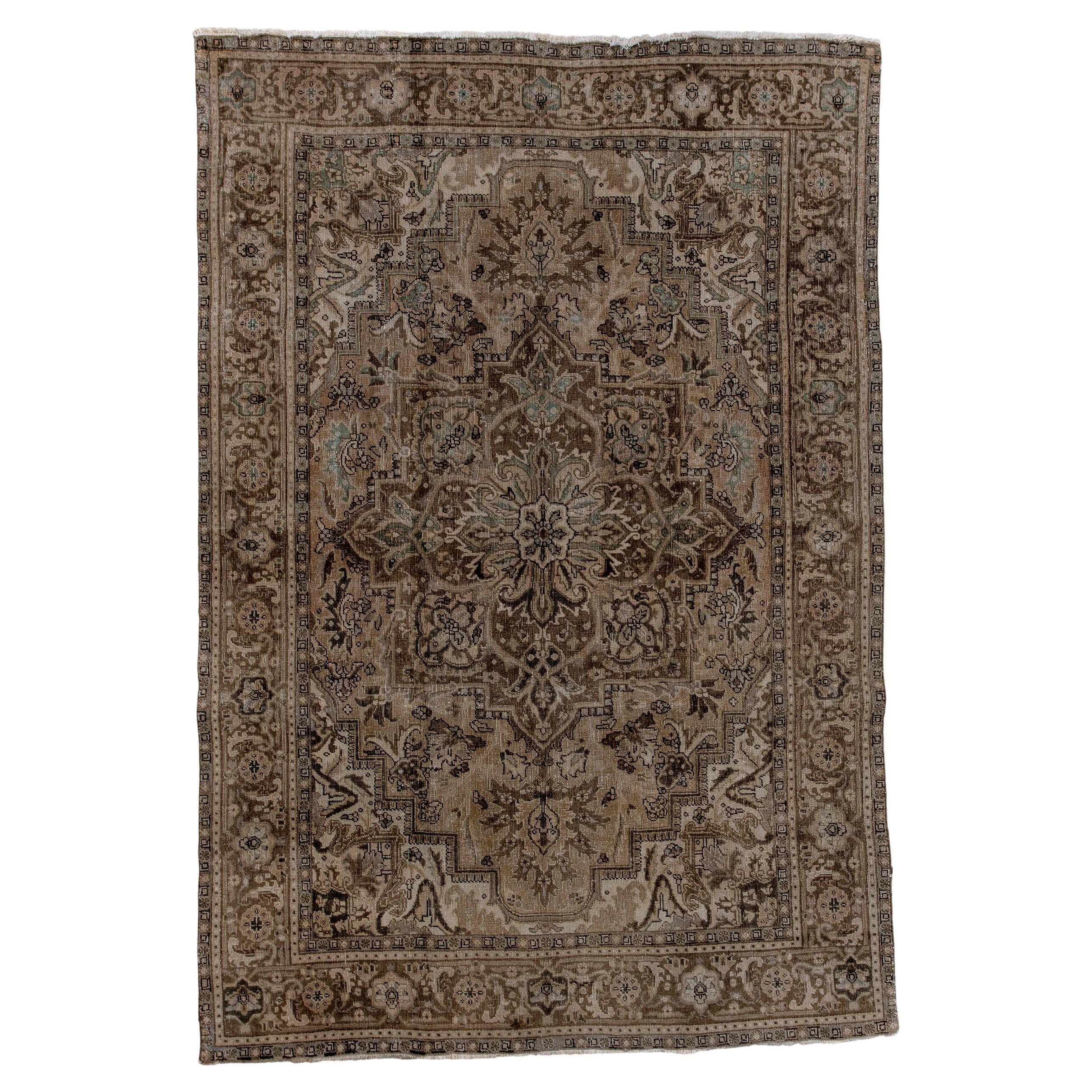 Heriz Rug Soft Earth Tones with Central Medallion
