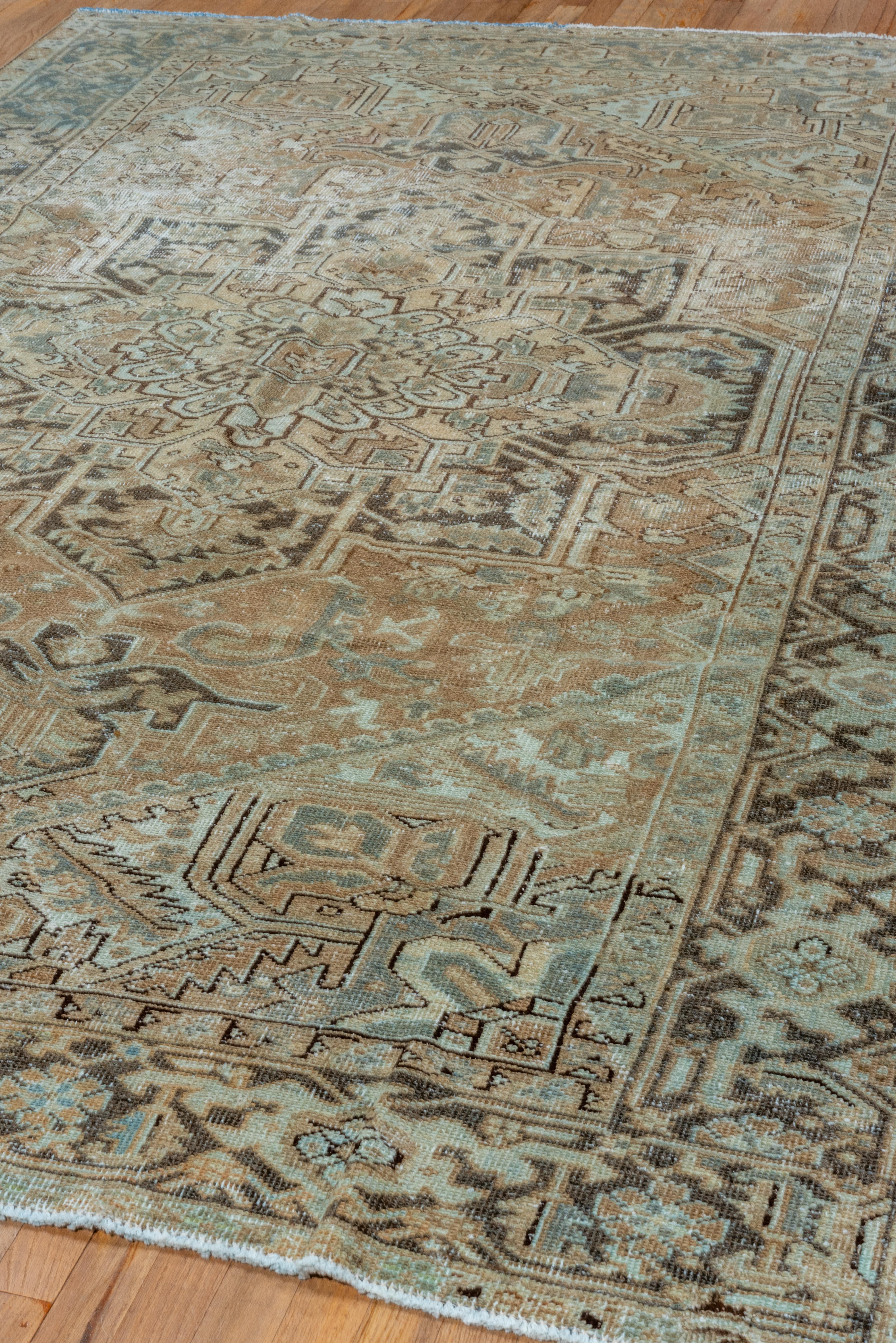 Heriz Rug Soft Geometric Medallion Pattern For Sale 3