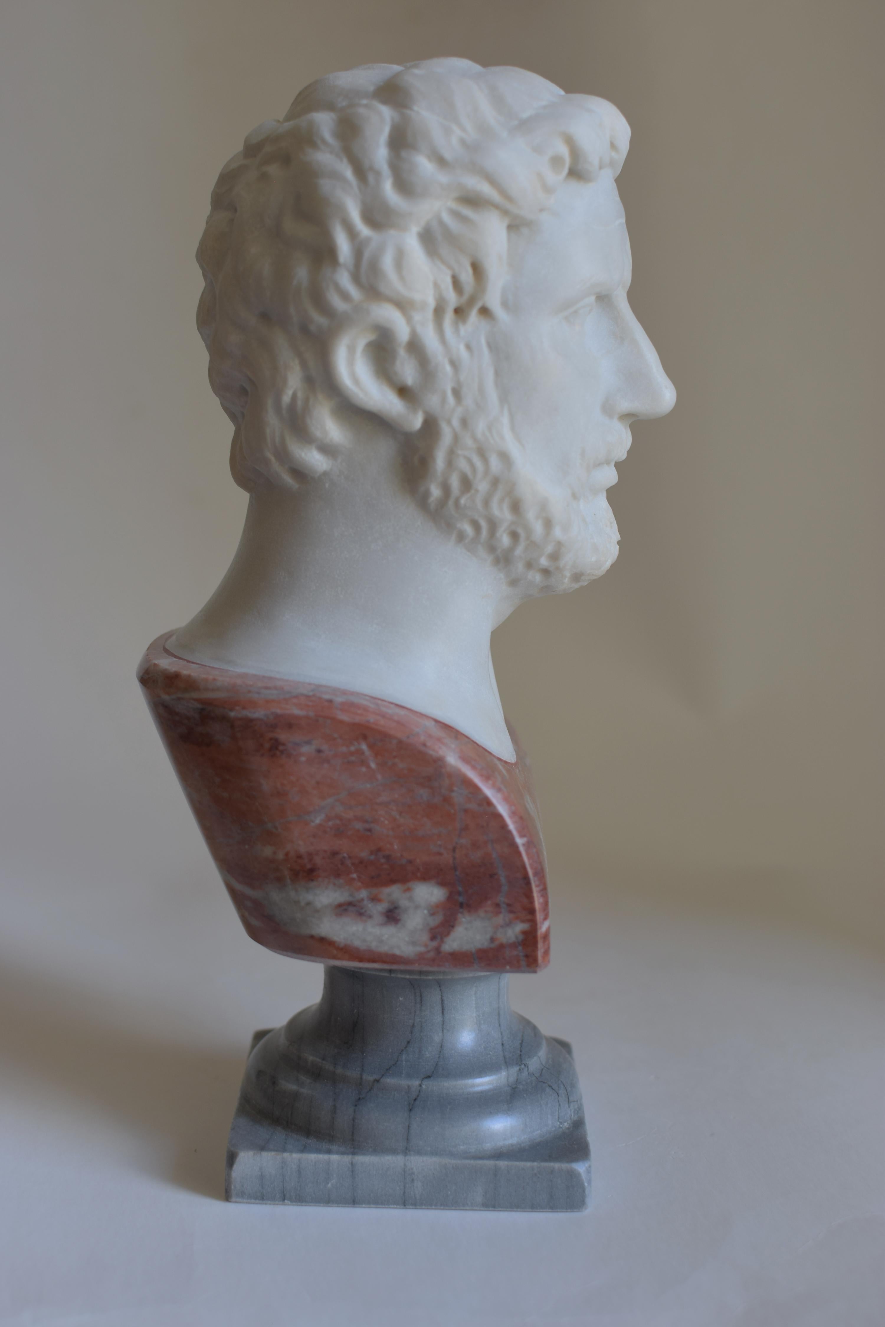 Herma Adriano auf weißem Carrara-Marmor gemeißelt, Büste rouge France bardiglio Basis (Ende des 20. Jahrhunderts) im Angebot