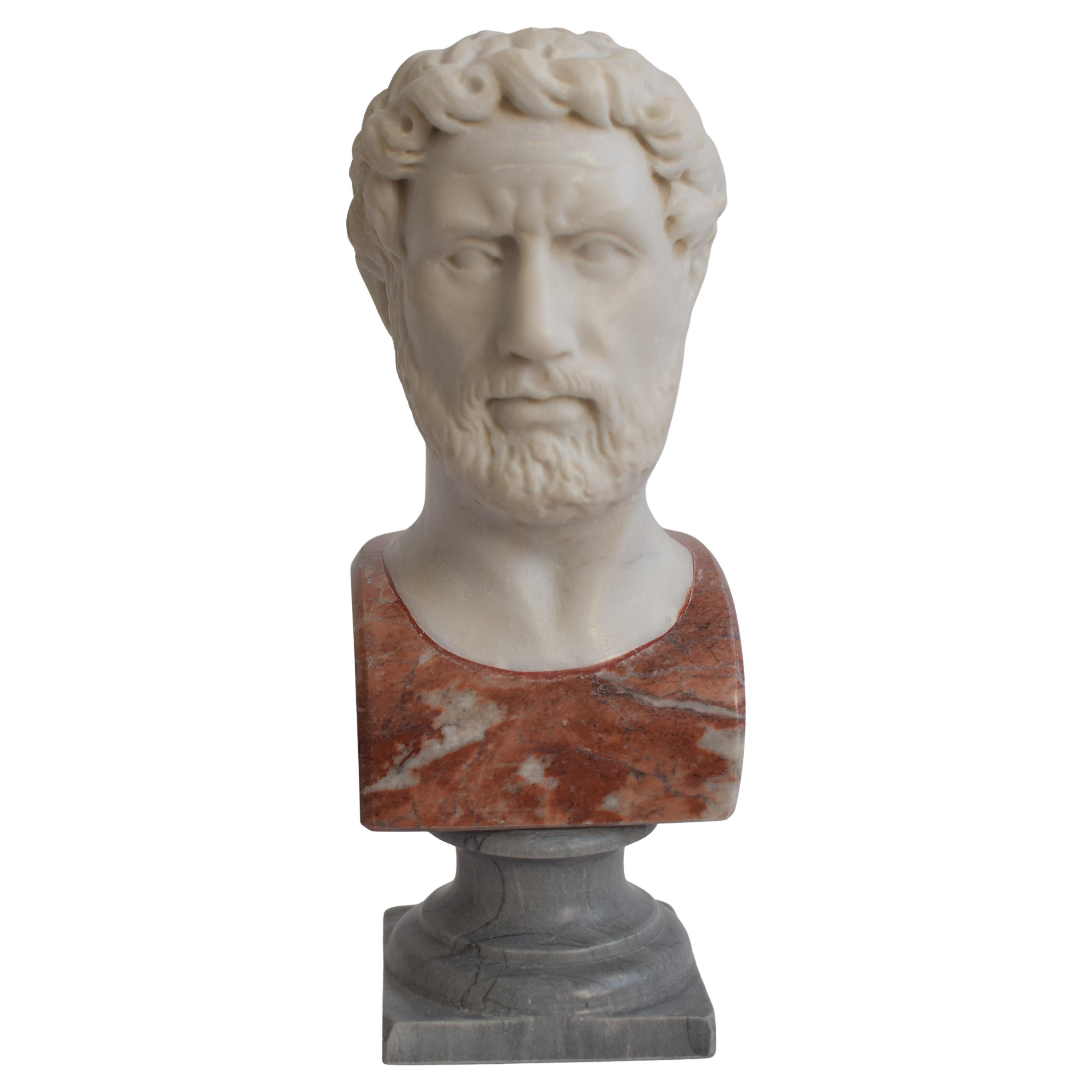 Herma Adriano esculpida en mármol blancoCarrara, busto rouge France base bardiglio