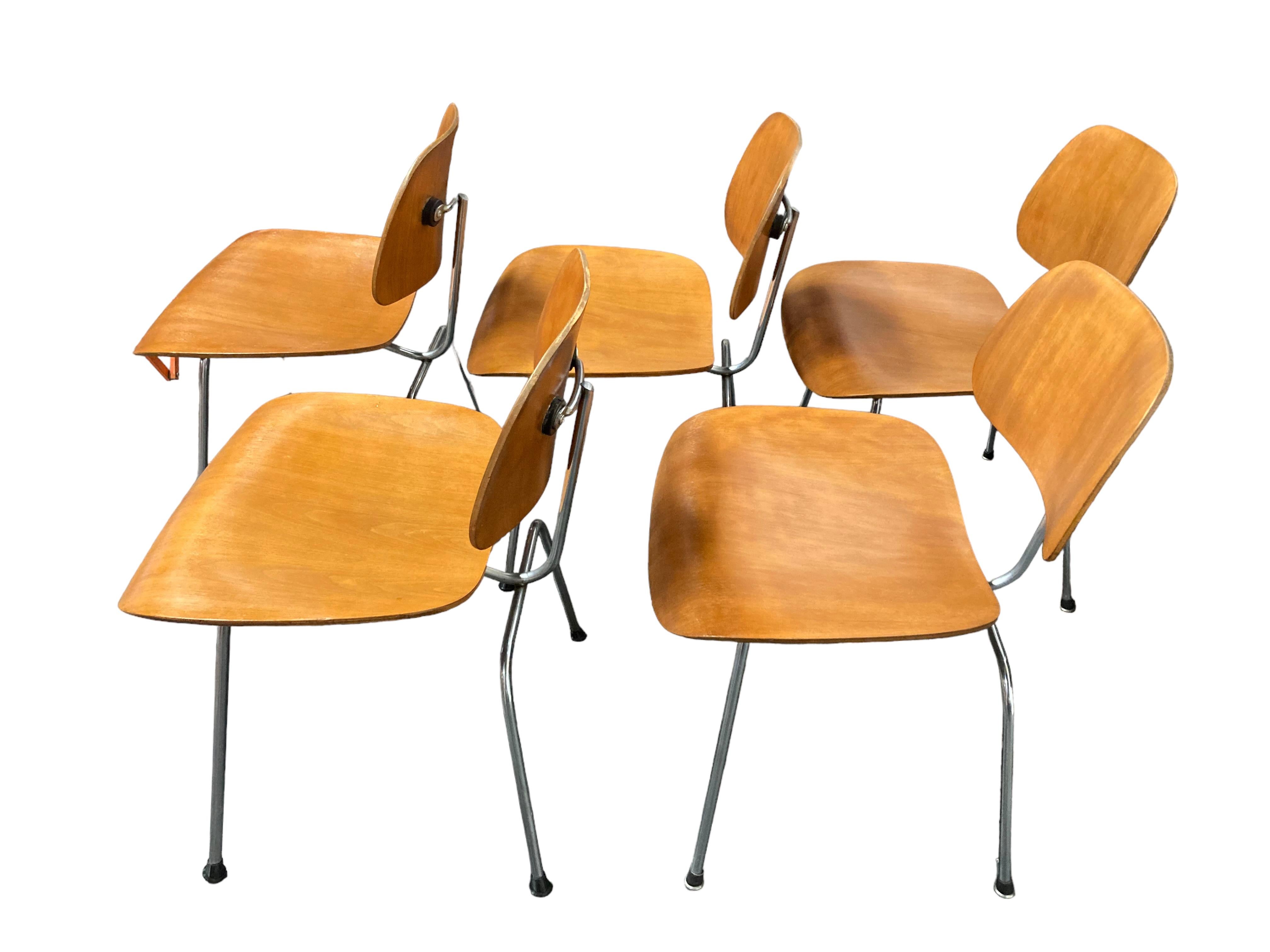 This set of five 1950s Mid-Century Modern Eames LCM lounge chairs by Herman Miller are in very in good condition and have been recently restored by a professional furniture repairman. This set of LCM chairs are armless and feature a sleek, modern