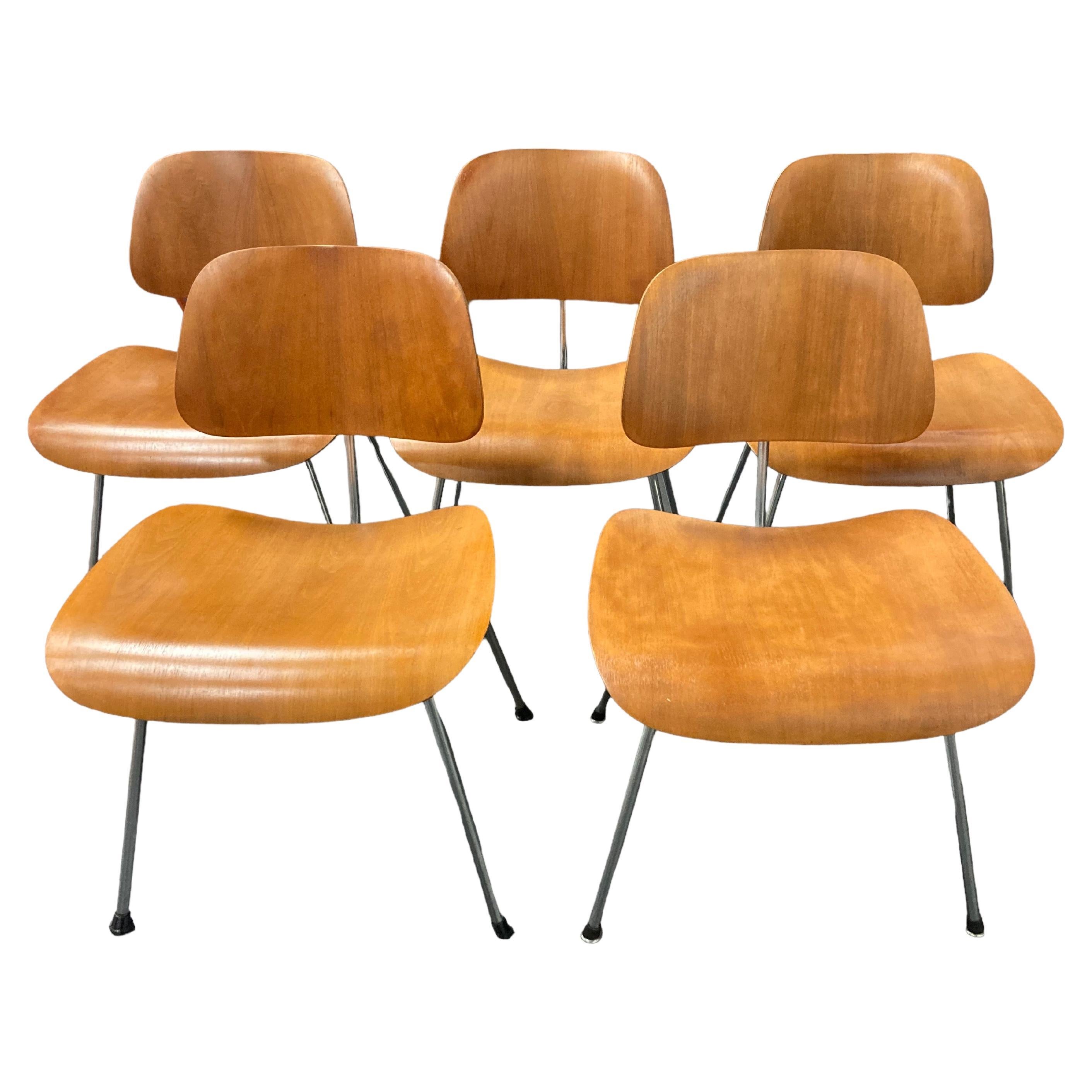 Herman Miller Charles & Ray Eames LCM Chair Set of 5