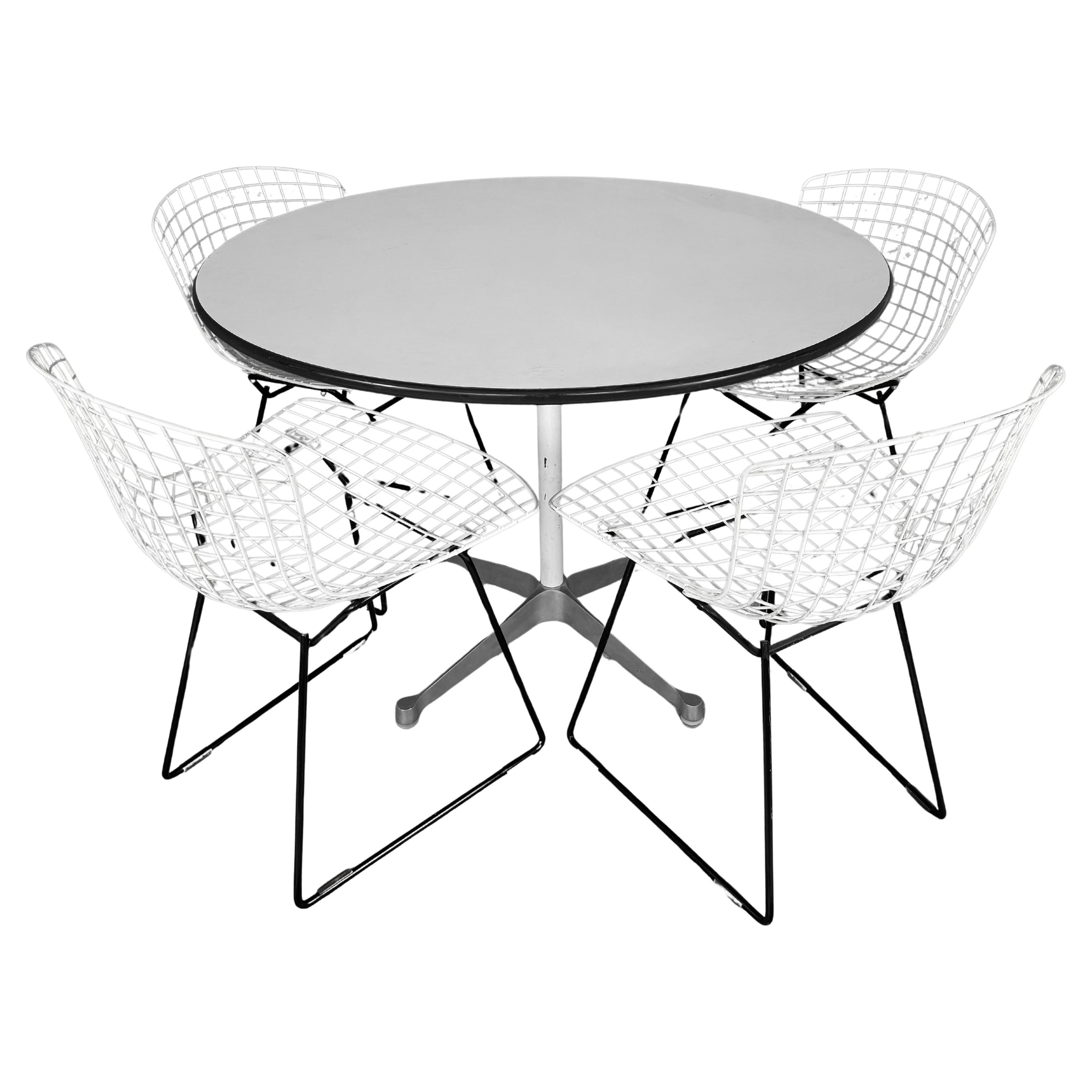 Herman Miller Esstisch mit 4 Bertoia Stühlen im Angebot