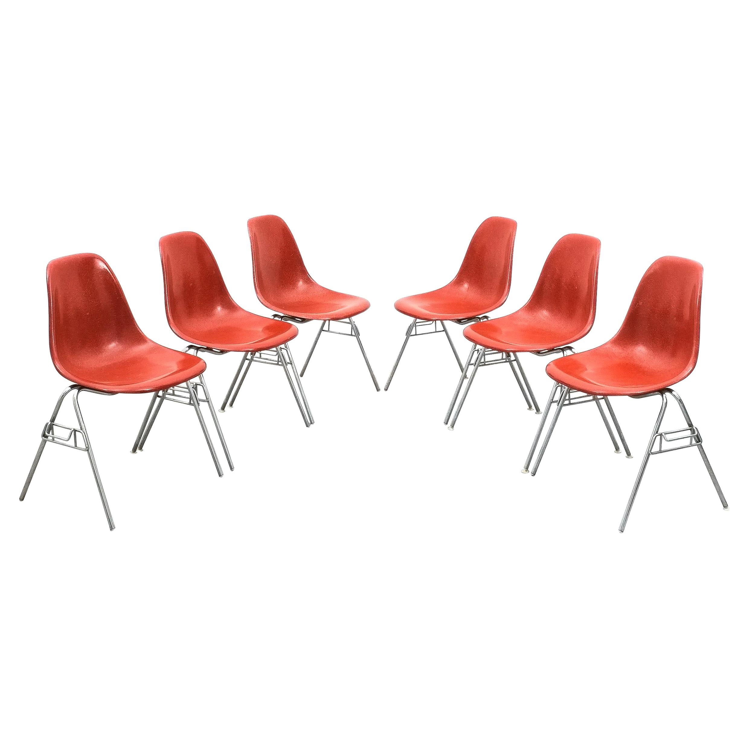Herman Miller Eames Dining Chairs Terracotta, circa 1970
