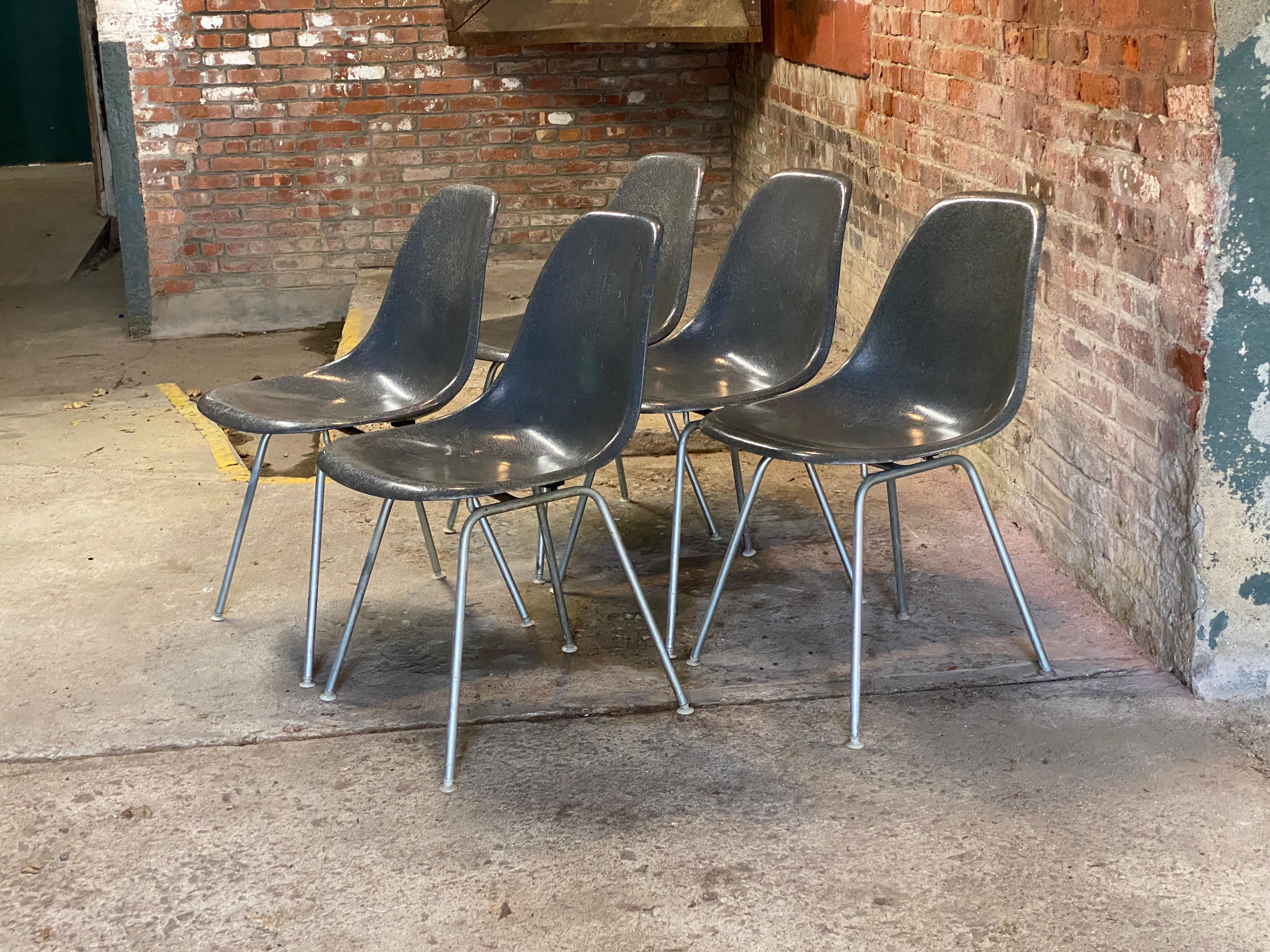 Herman Miller Eames in fibra di vetro Elephant Hide Gray Shell Chairs, Cinque in vendita 12