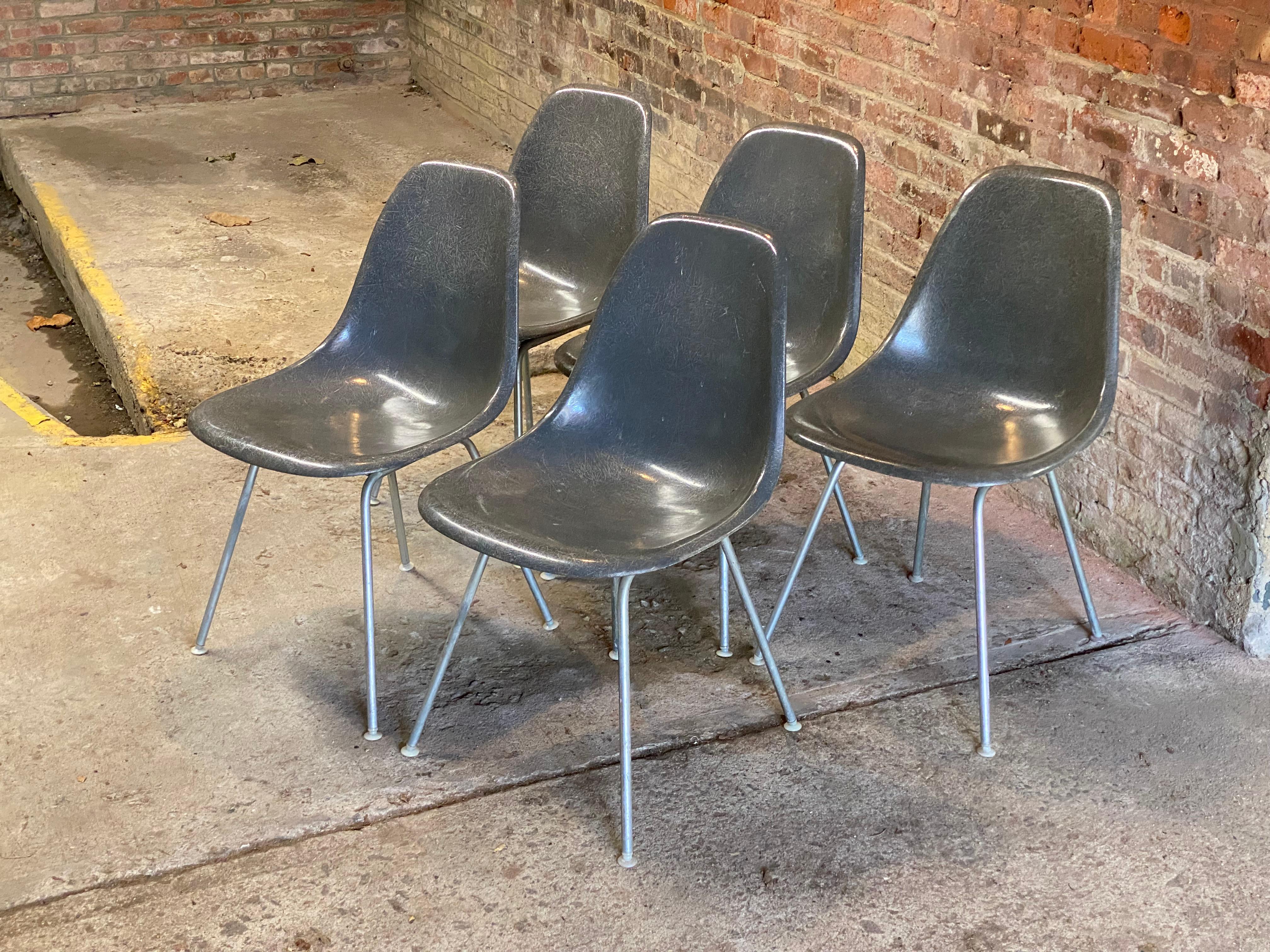 Mid-Century moderno Herman Miller Eames in fibra di vetro Elephant Hide Gray Shell Chairs, Cinque in vendita