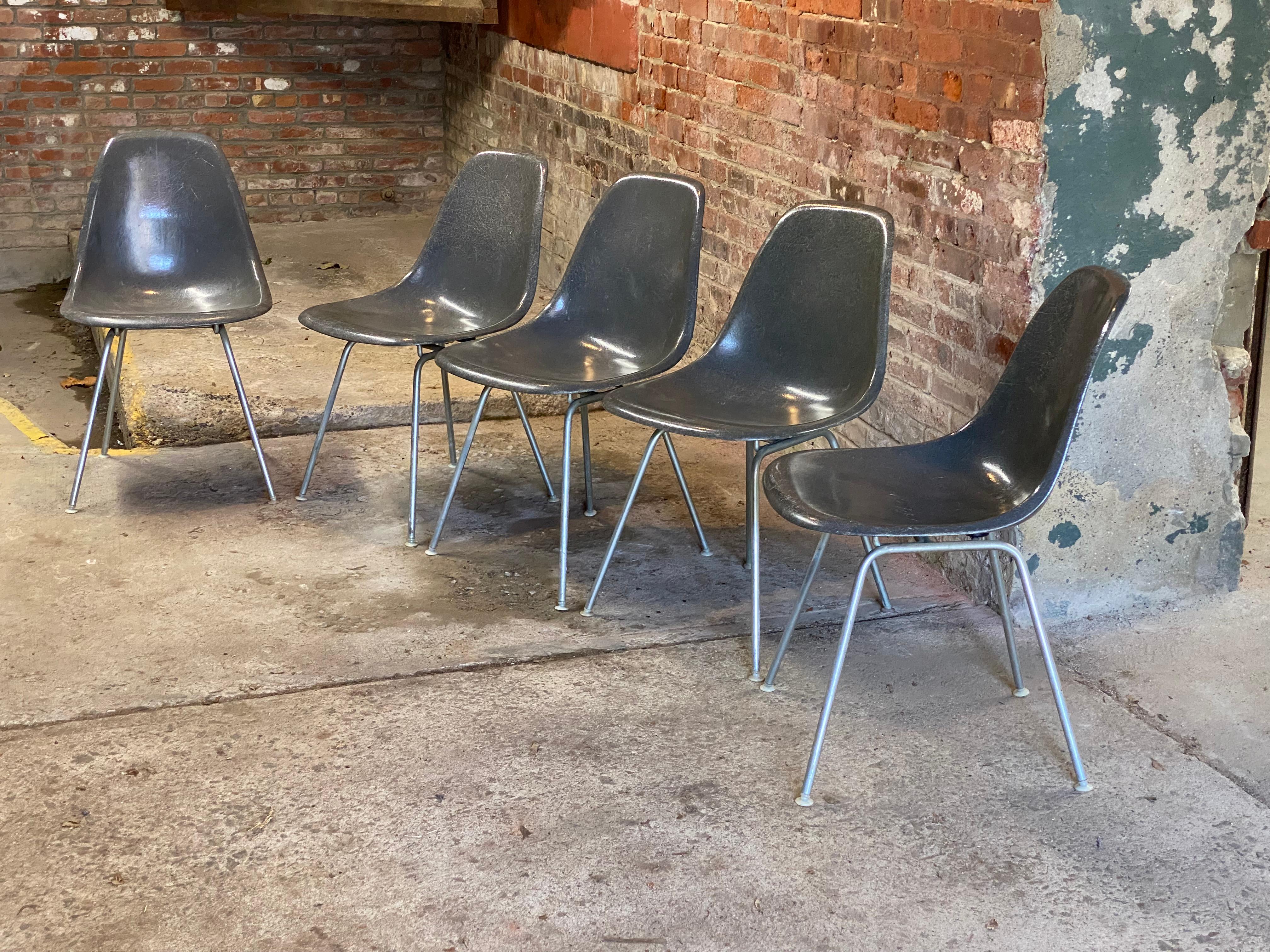 Americano Herman Miller Eames in fibra di vetro Elephant Hide Gray Shell Chairs, Cinque in vendita