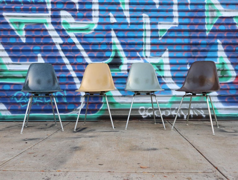 American Herman Miller Eames Multicolored Dining Chair Set For Sale