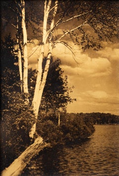 Ancienne scène de paysage sépia sur le lac