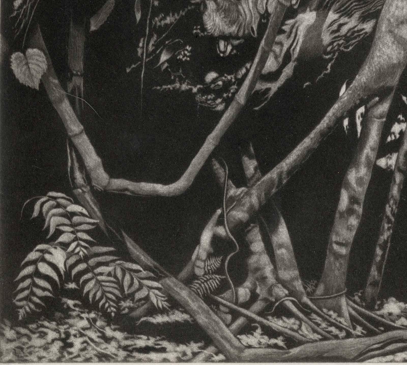 The Strangler (Strangling sub tropical flora and fauna of Florida's Everglades) - Print by Herman Zaage