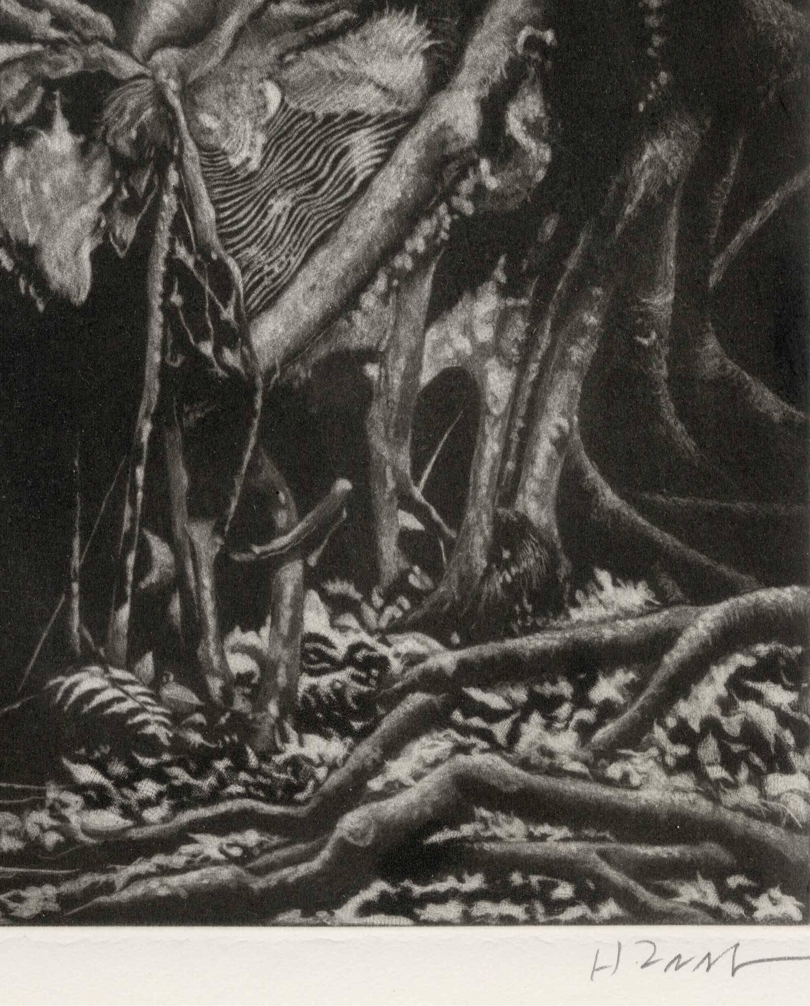 The Strangler (Strangling sub tropical flora and fauna of Florida's Everglades) - American Modern Print by Herman Zaage
