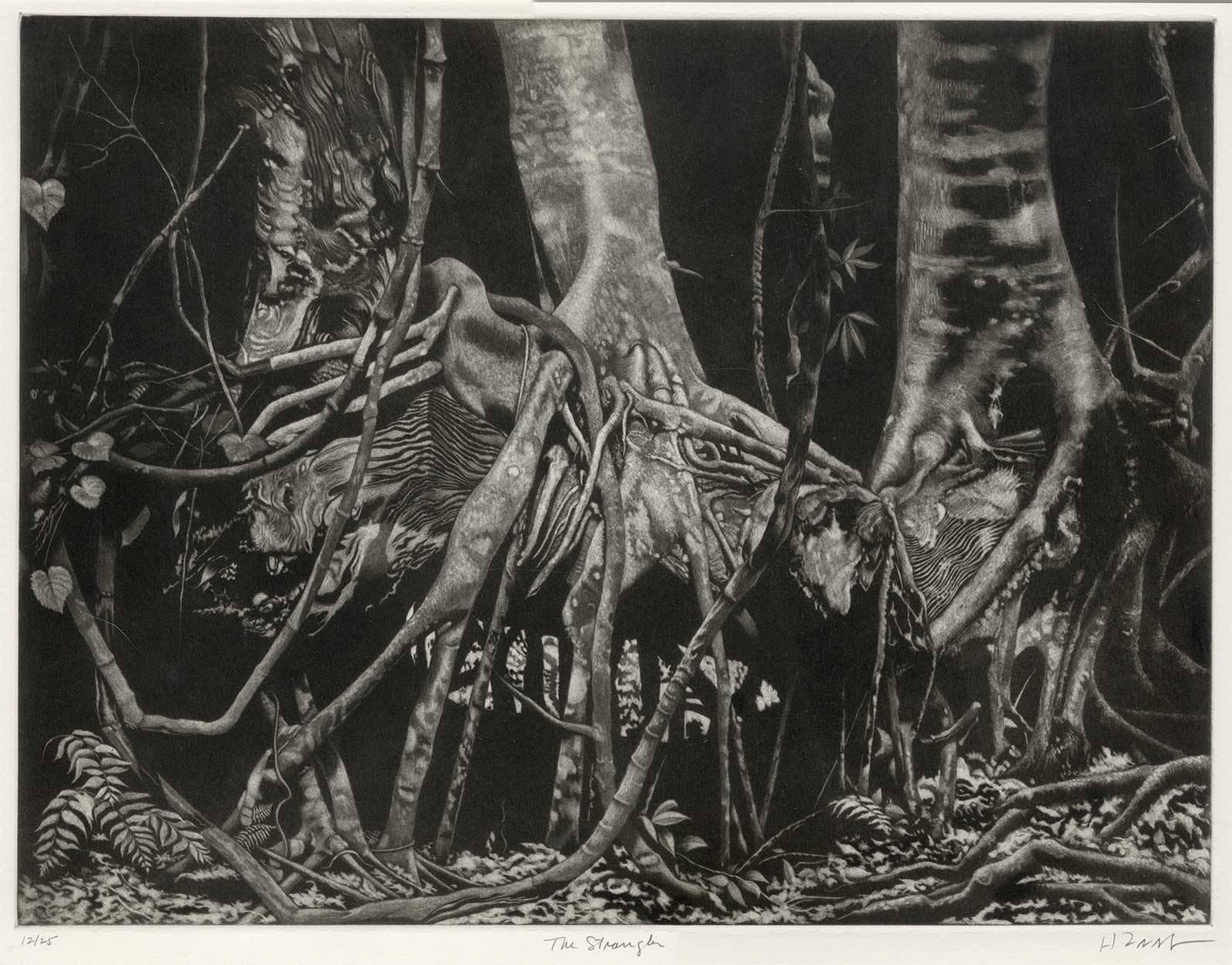 Herman Zaage Landscape Print - The Strangler (Strangling sub tropical flora and fauna of Florida's Everglades)