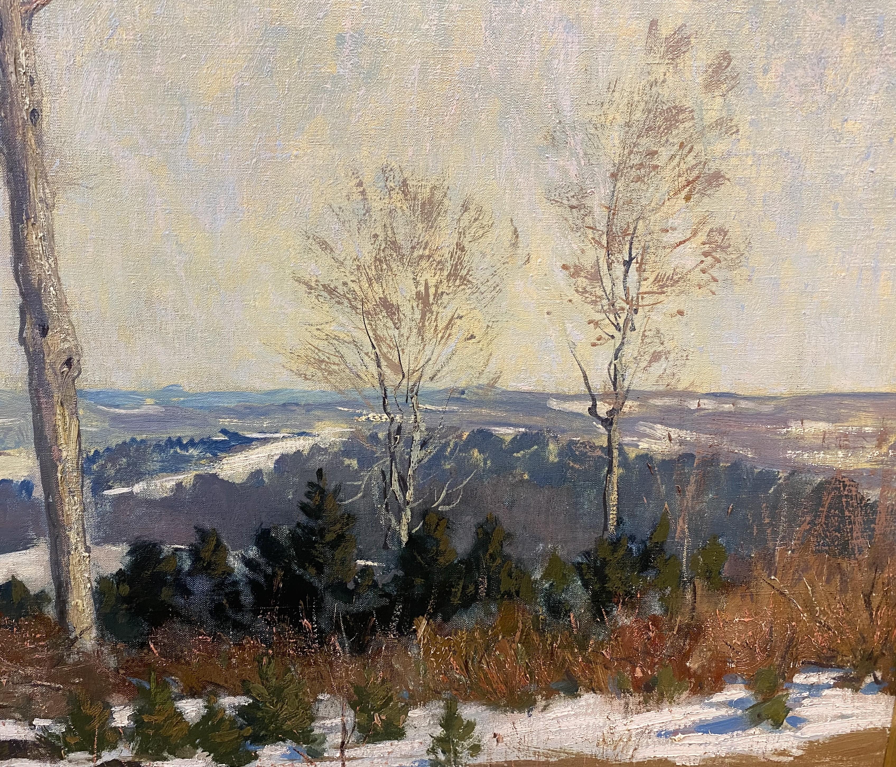 Paesaggio di marzo vicino al monte Monadnock in vendita 1