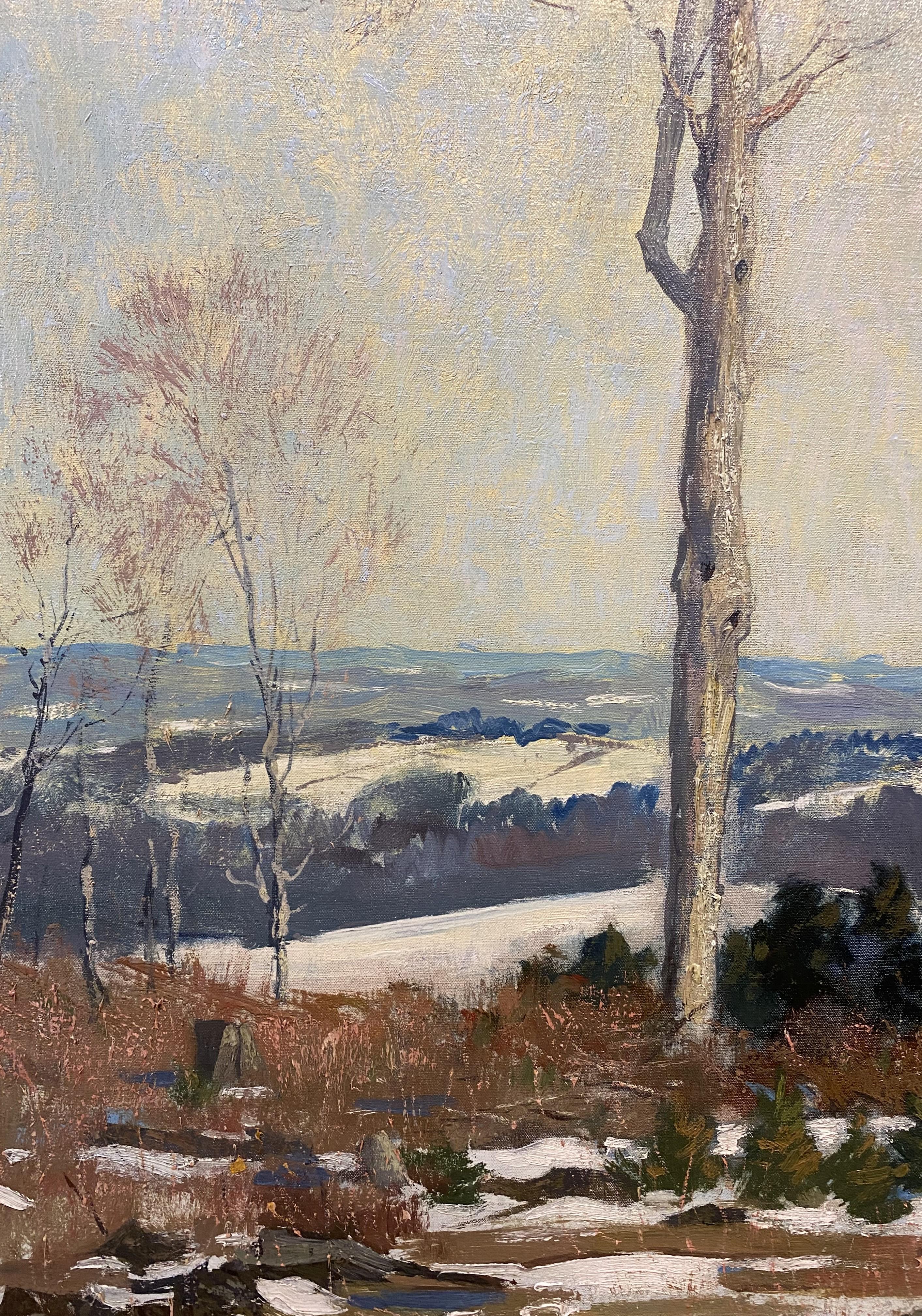Paesaggio di marzo vicino al monte Monadnock in vendita 4