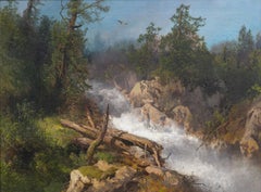 Forest Rapids