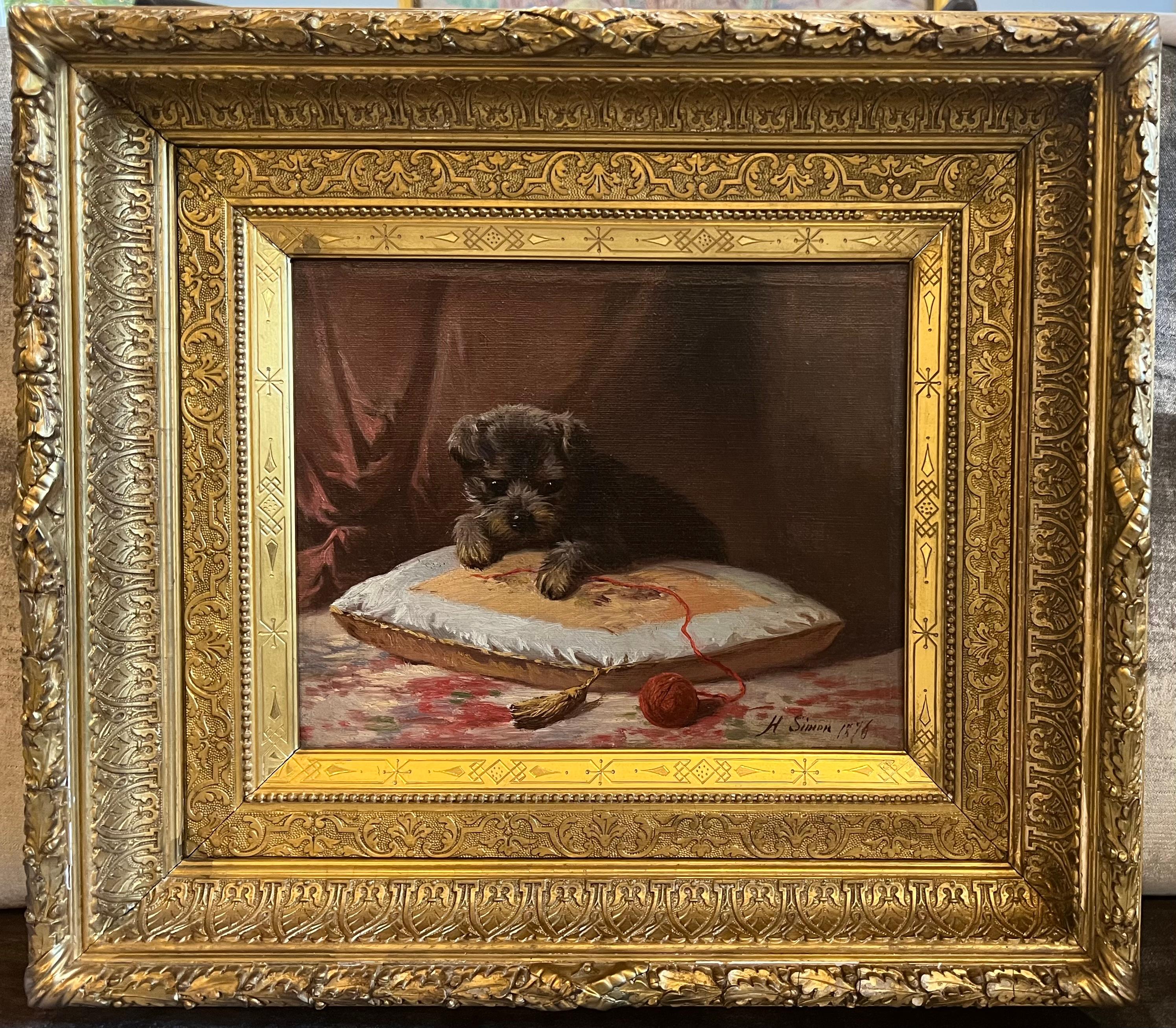 san luis potosi schnauzer