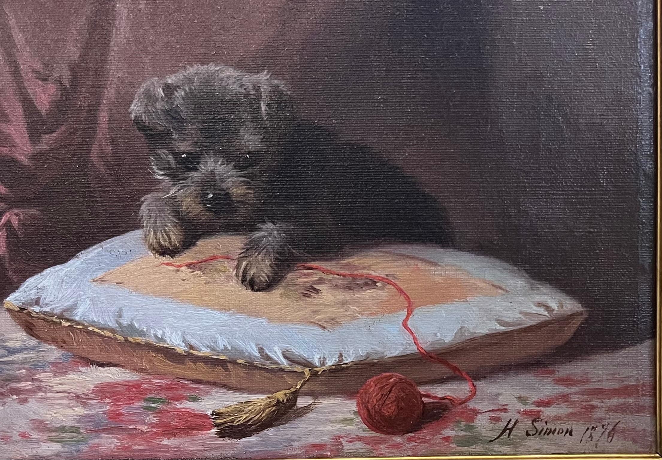 schnauzer san luis potosi