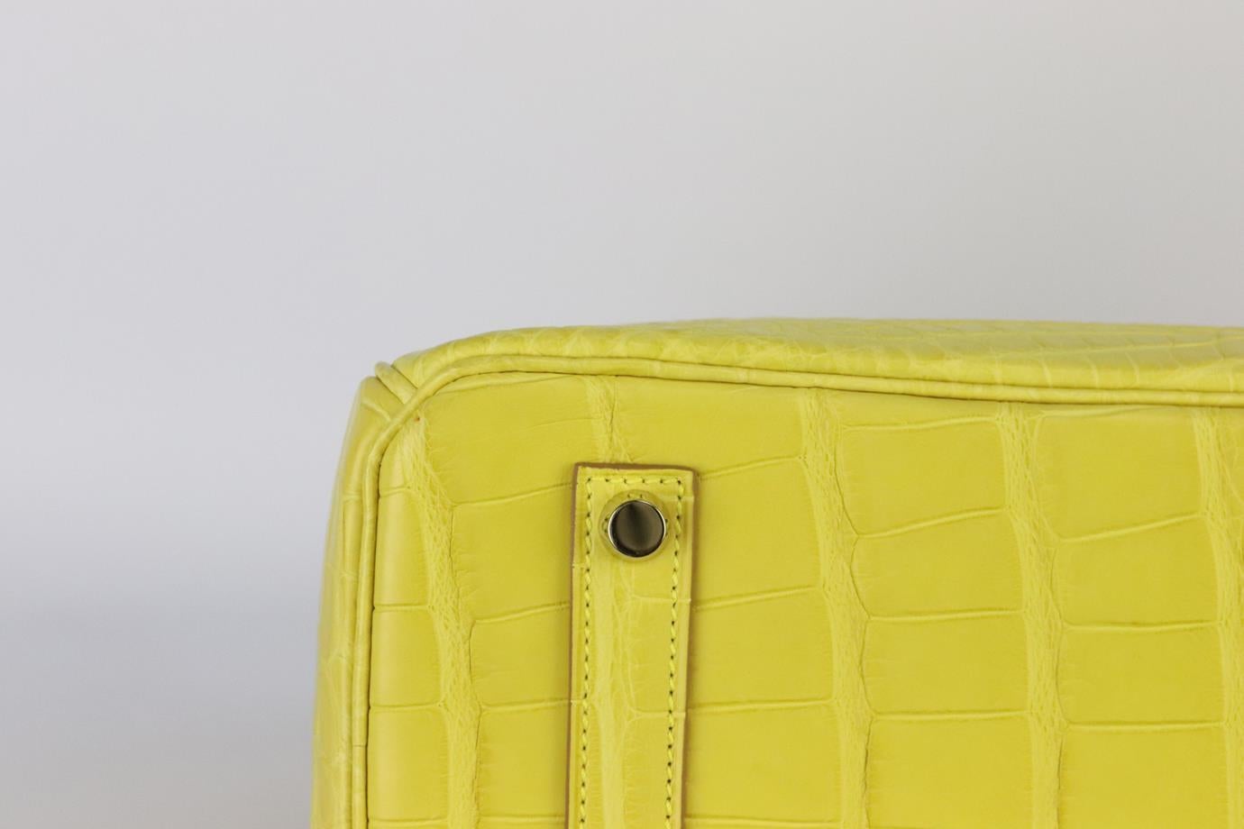 Hermès 2013 Birkin 35cm Alligator Matte Mississippiensis Leather Bag en vente 3