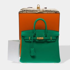 Hermès 2024 Birkin 25 Handbag in Vert Menthe Togo Leather, Women's