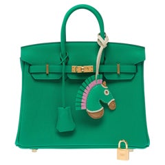 Hermès 2024 Birkin 25 Handbag in Vert Menthe Togo Leather, Women's