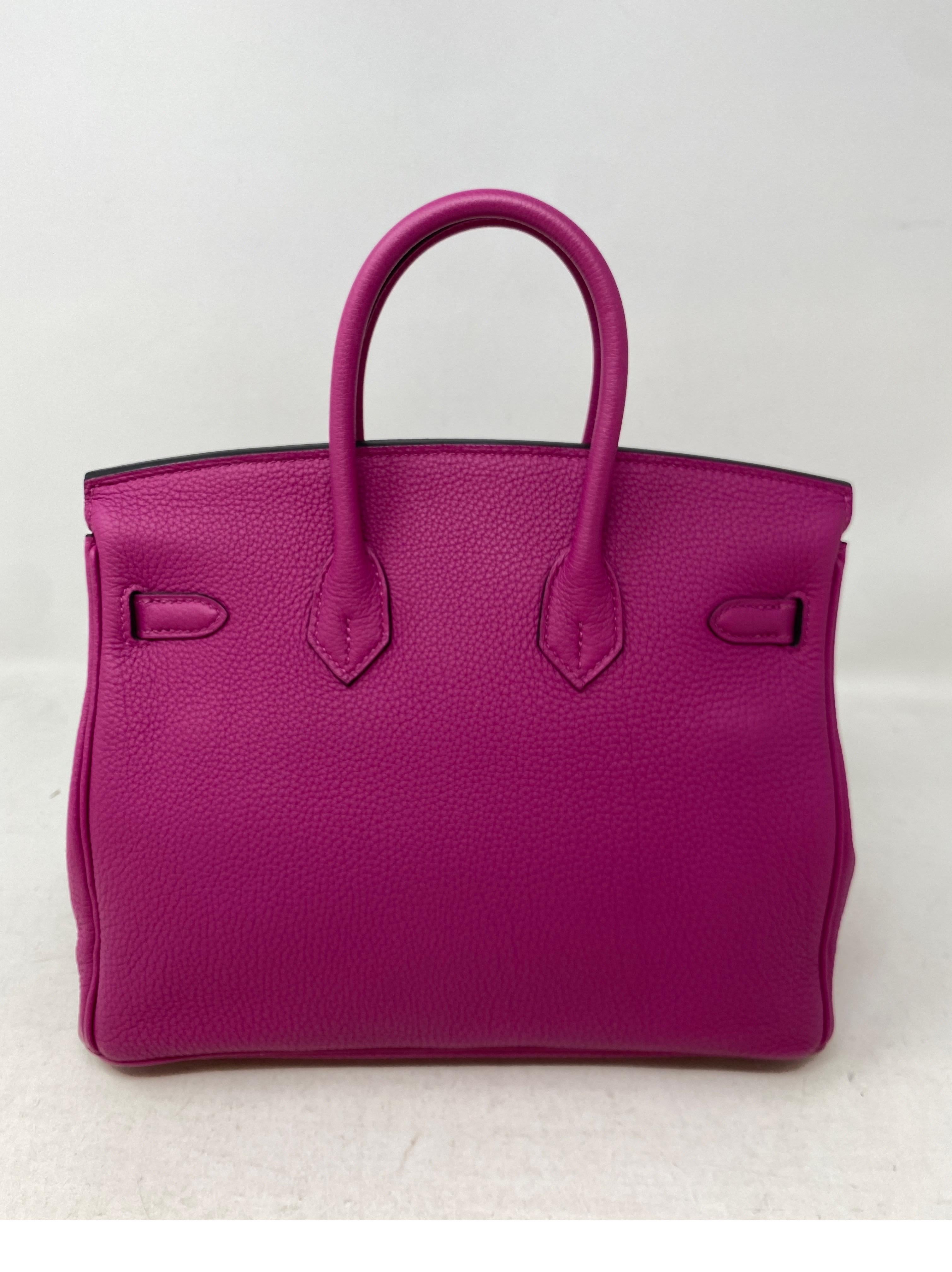 Hermes 25 Birkin Poudre Bag  14