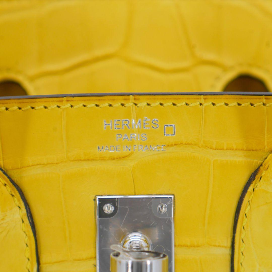 Hermès 25cm Birkin Mimosa Matte Alligator Palladium Hardware en vente 2