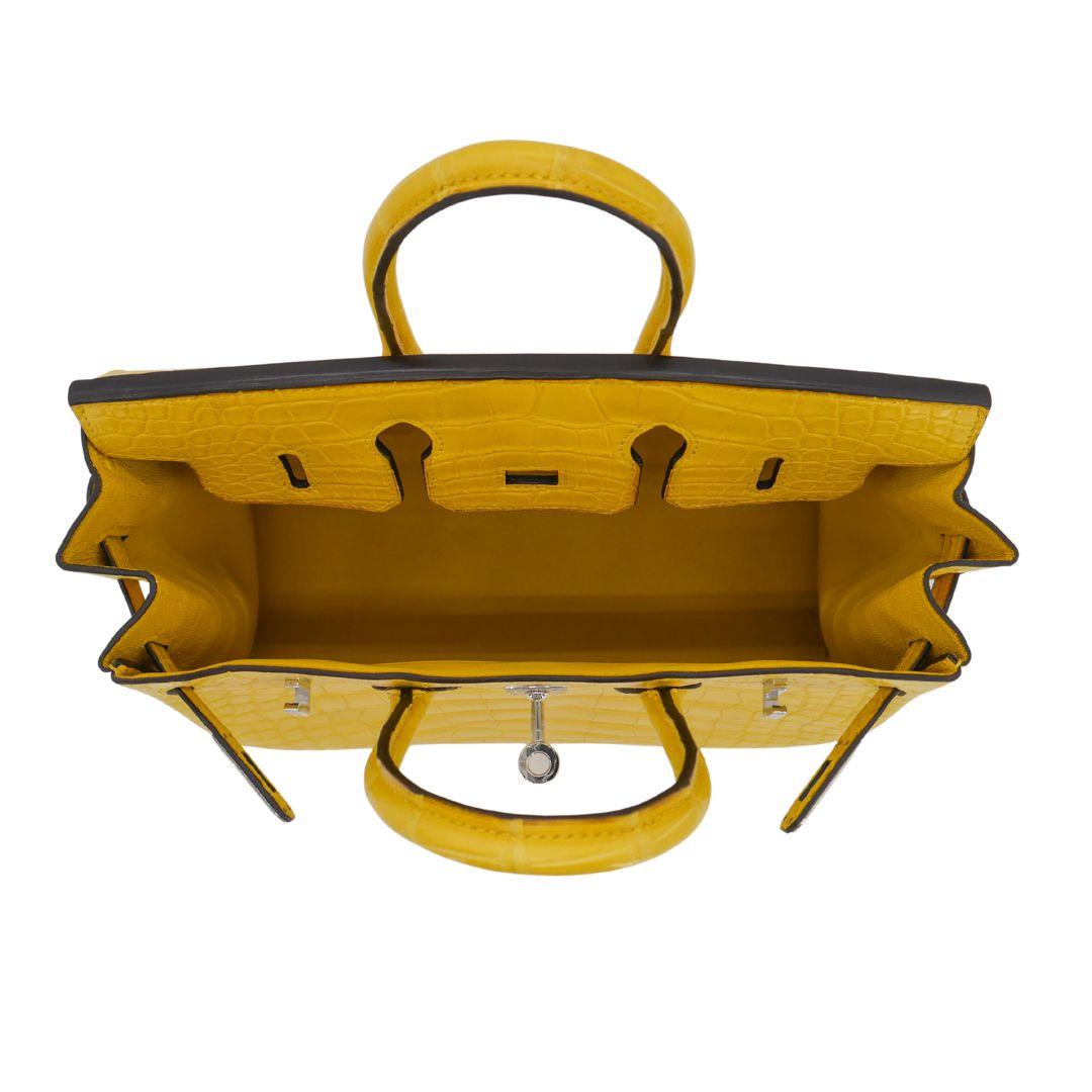Hermès 25cm Birkin Mimosa Matte Alligator Palladium Hardware 2
