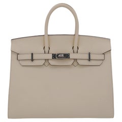 Hermès 25cm Birkin Sellier Nata Epsom Pelle Palladium Hardware