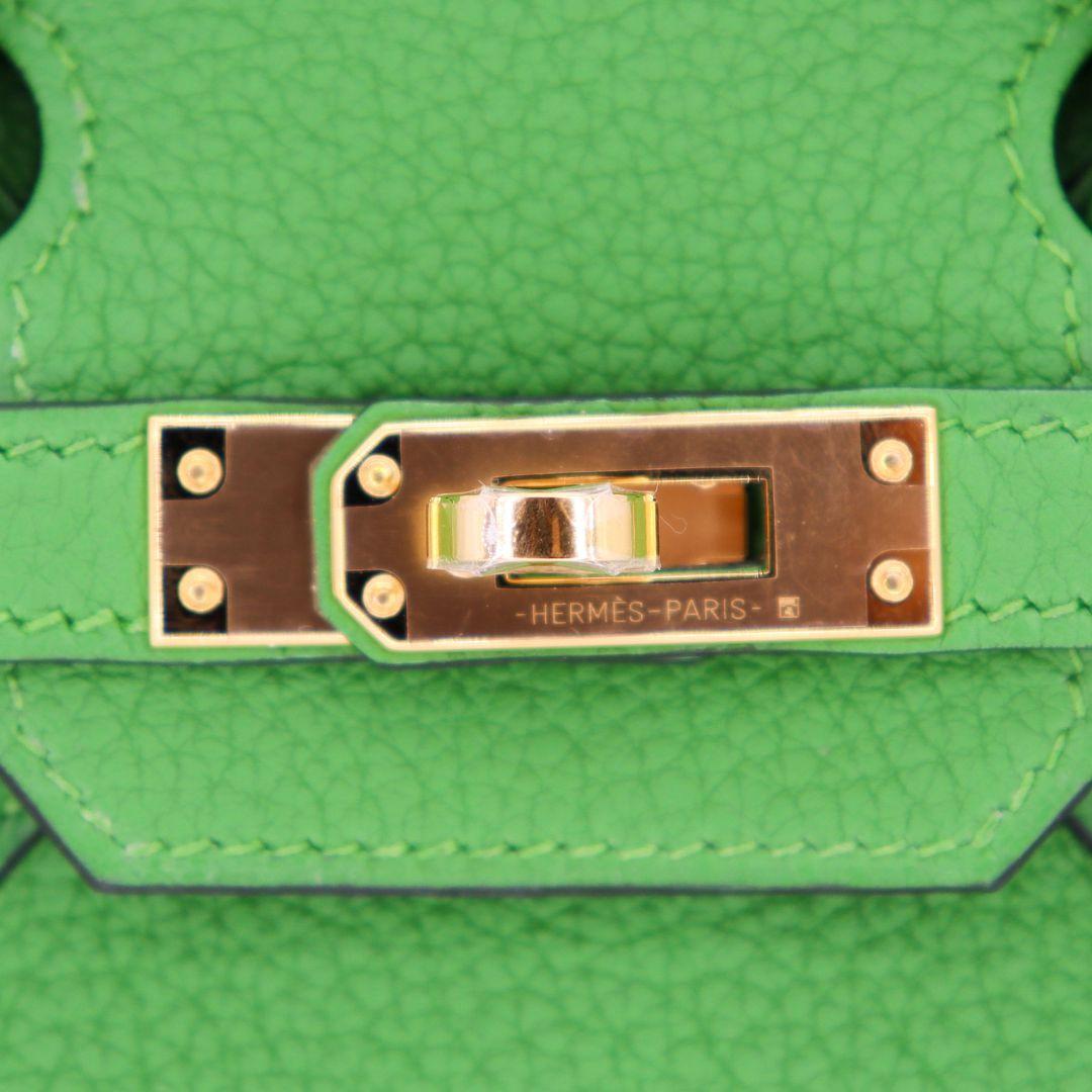 Hermès 25cm Birkin Vert Yucca Togo Leather Gold Hardware en vente 1