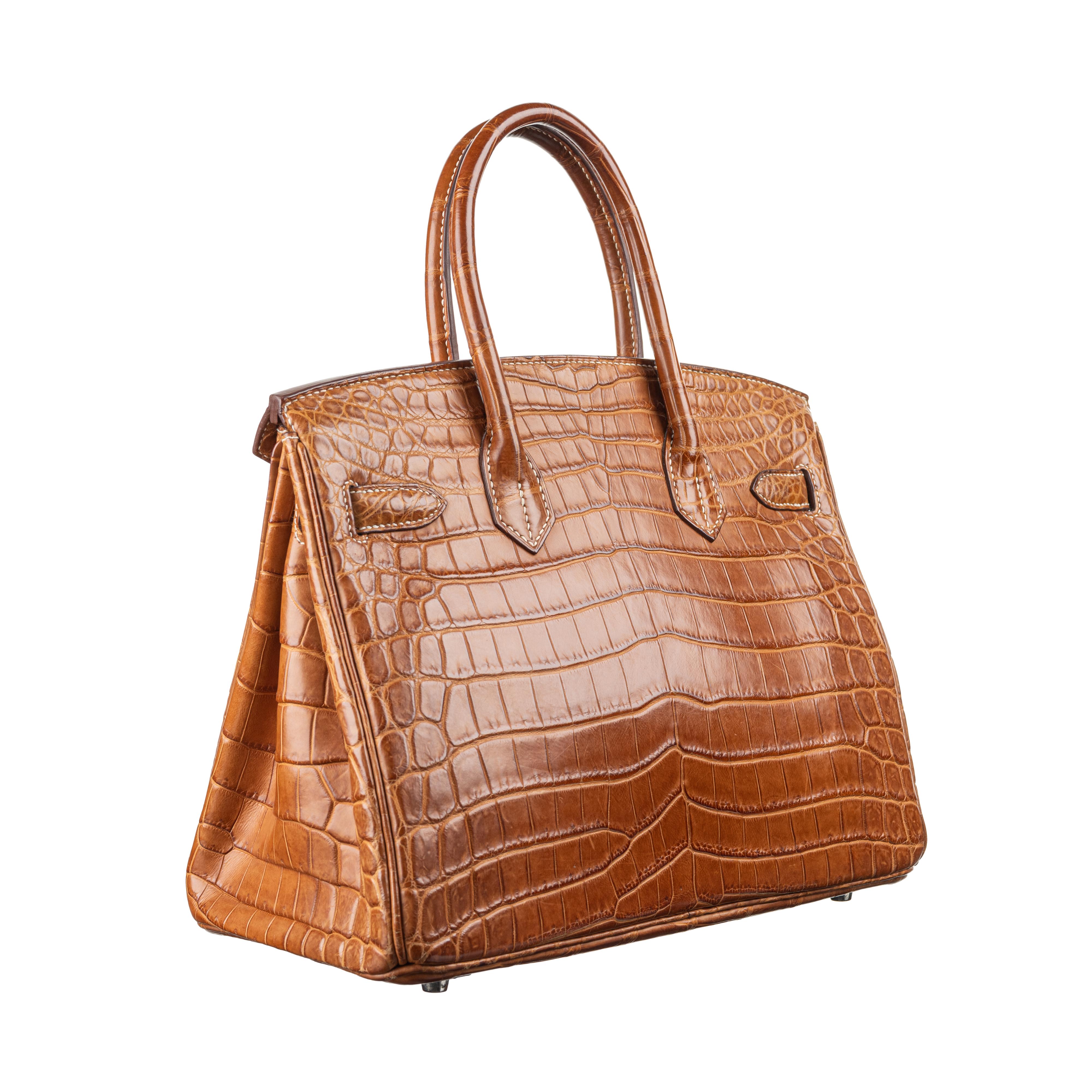 Brown Hermès 30cm Birkin Fauve Matte Nilo PHW 2011 For Sale