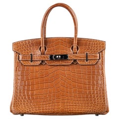 Hermès 30cm Birkin Fauve Matte Nilo PHW 2011