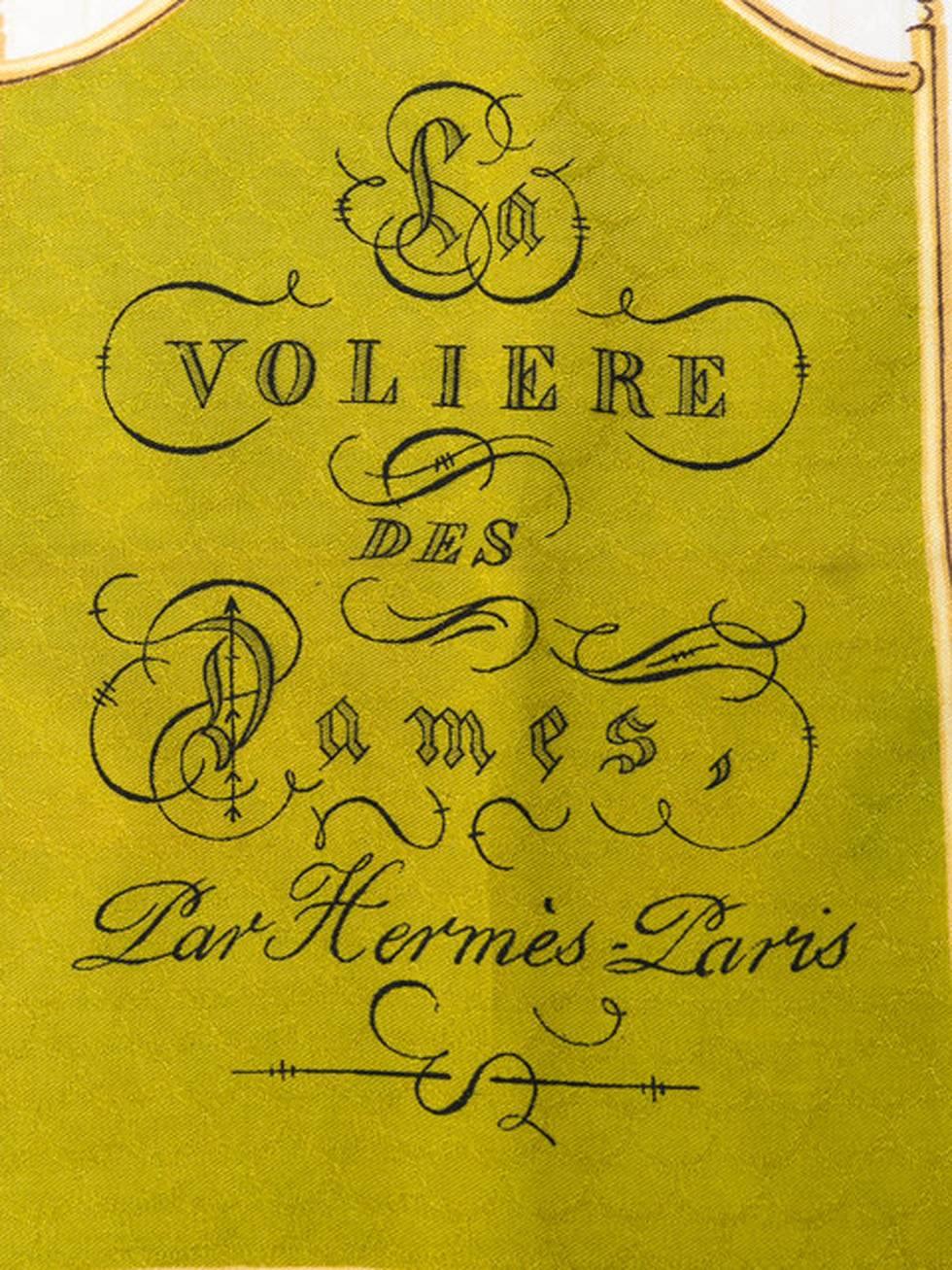 Hermes A La volière Des Dames by Hugo Grygkar silk scarf 2