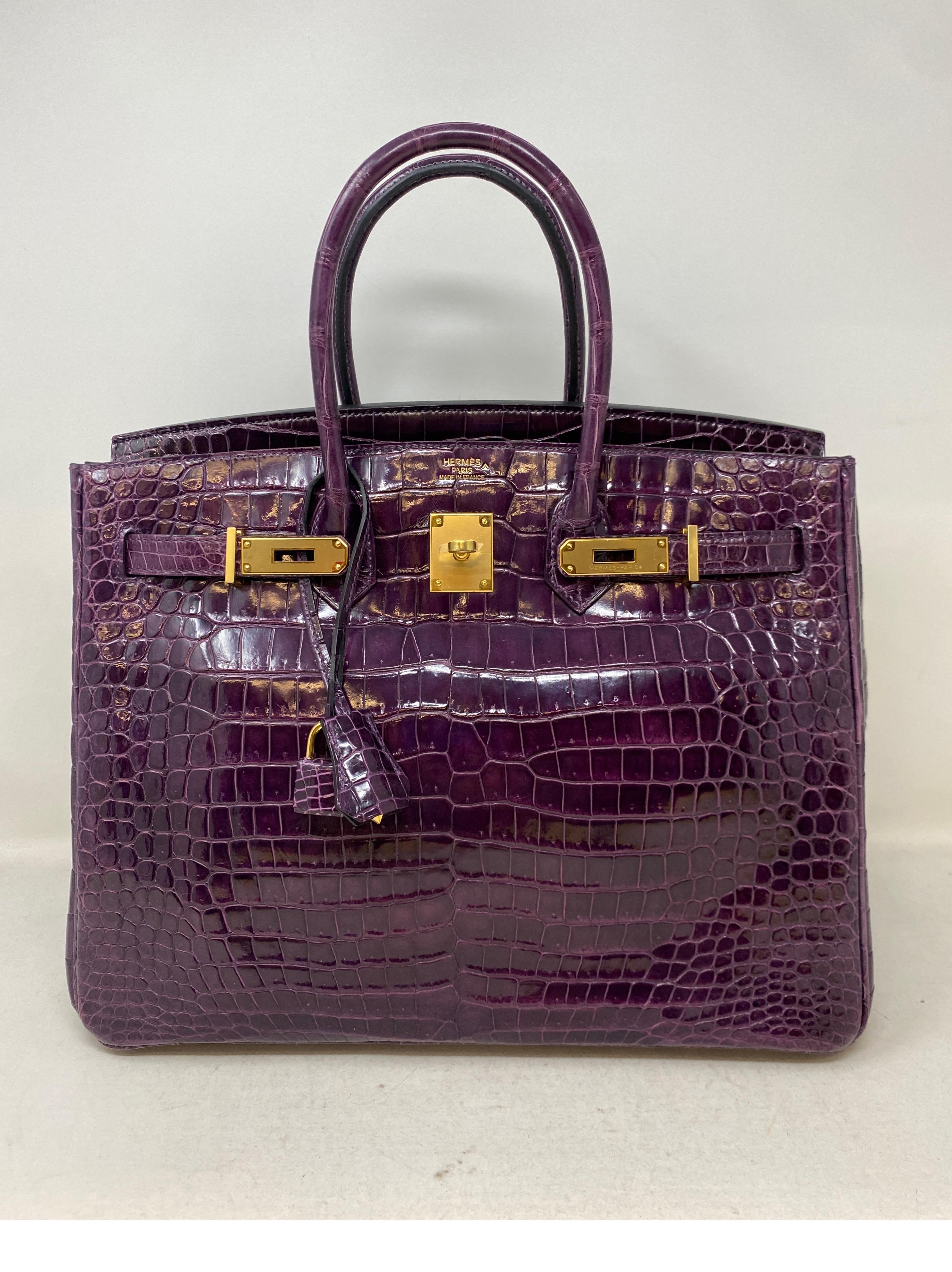 amethyst croc birkin