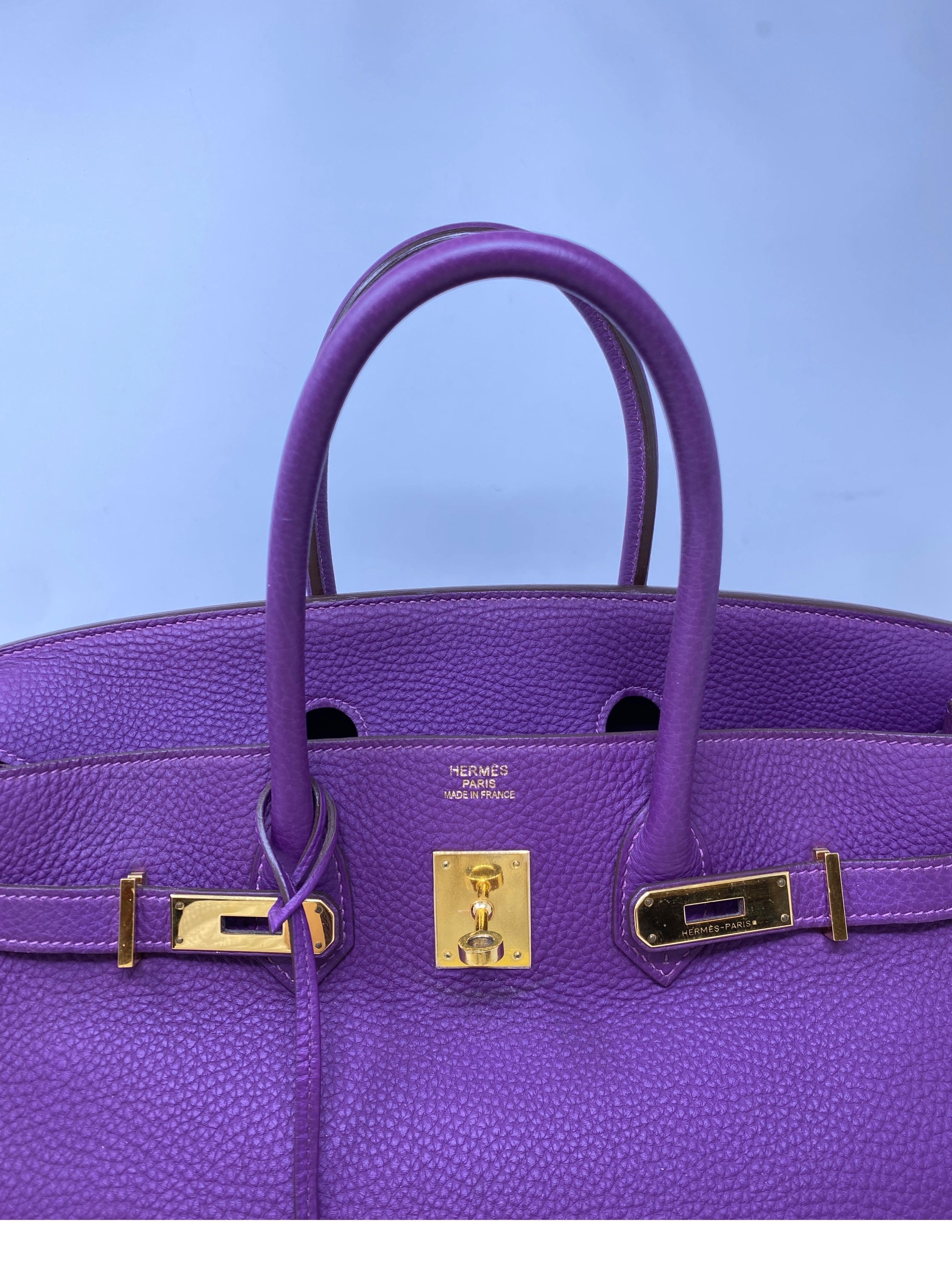 Hermes Anemone Birkin 35 Bag  7