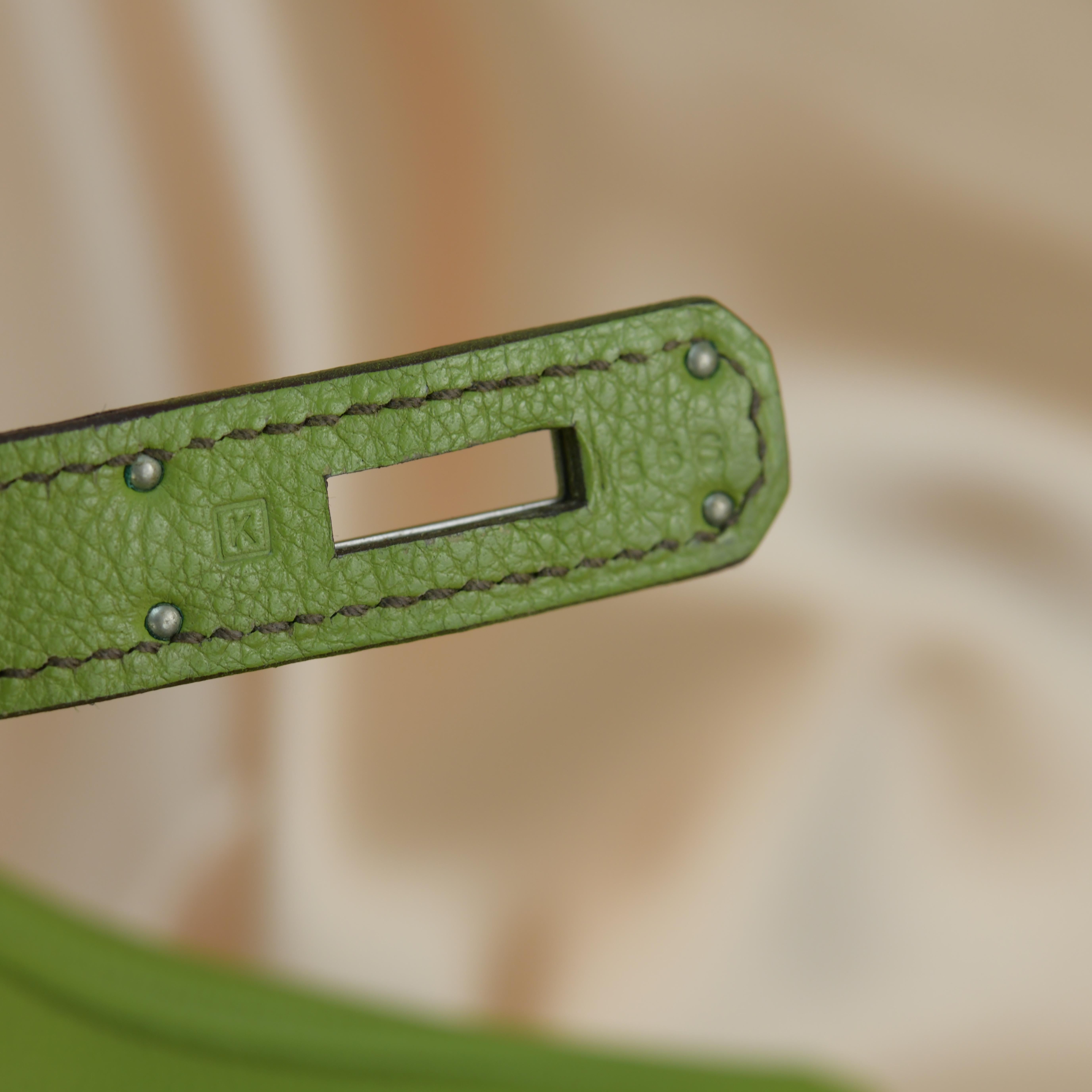 Hermès Anise Green Togo Leather Birkin 35cm with Palladium Hardware 10