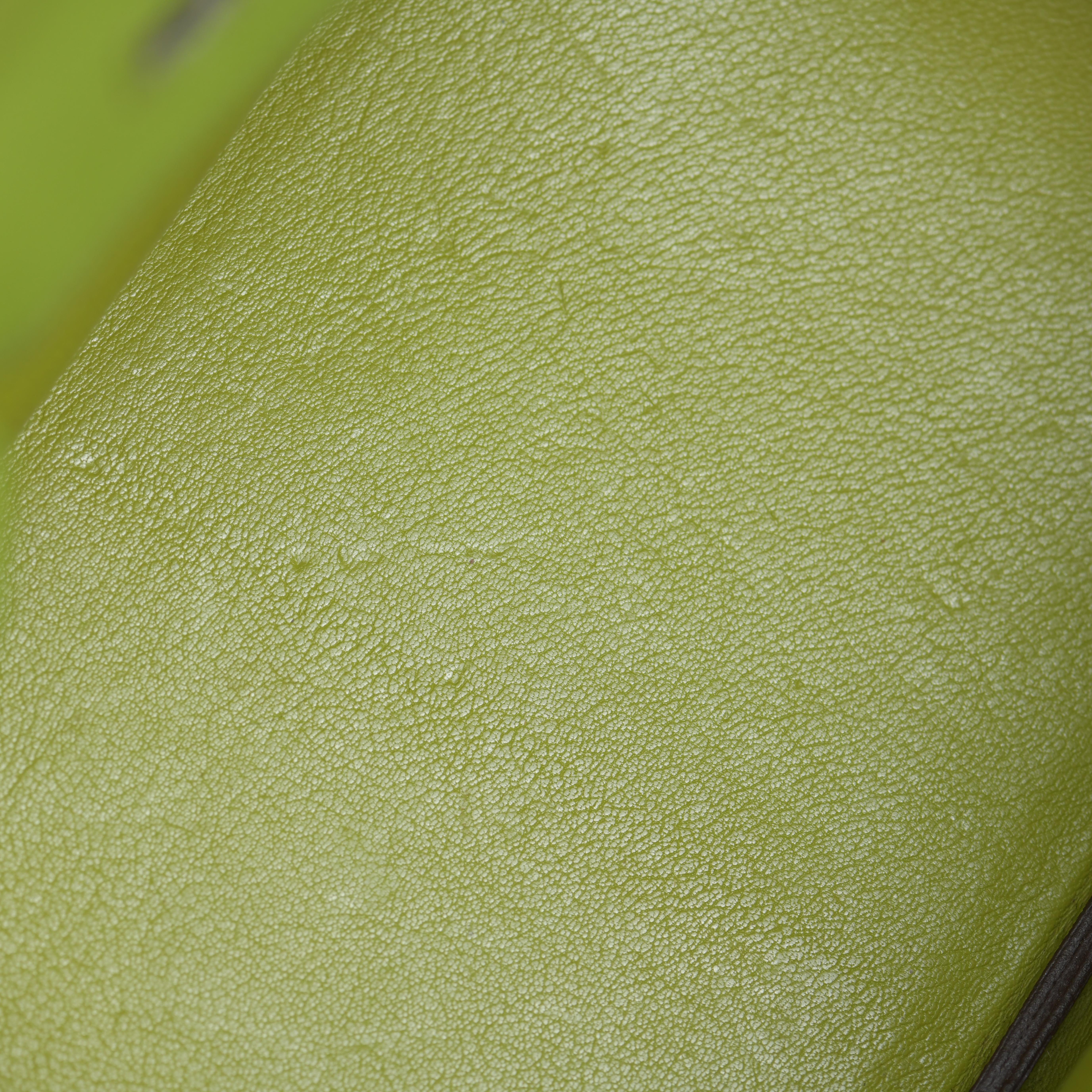Hermès Birkin 35cm en cuir Togo vert anis avec quincaillerie Palladium en vente 10
