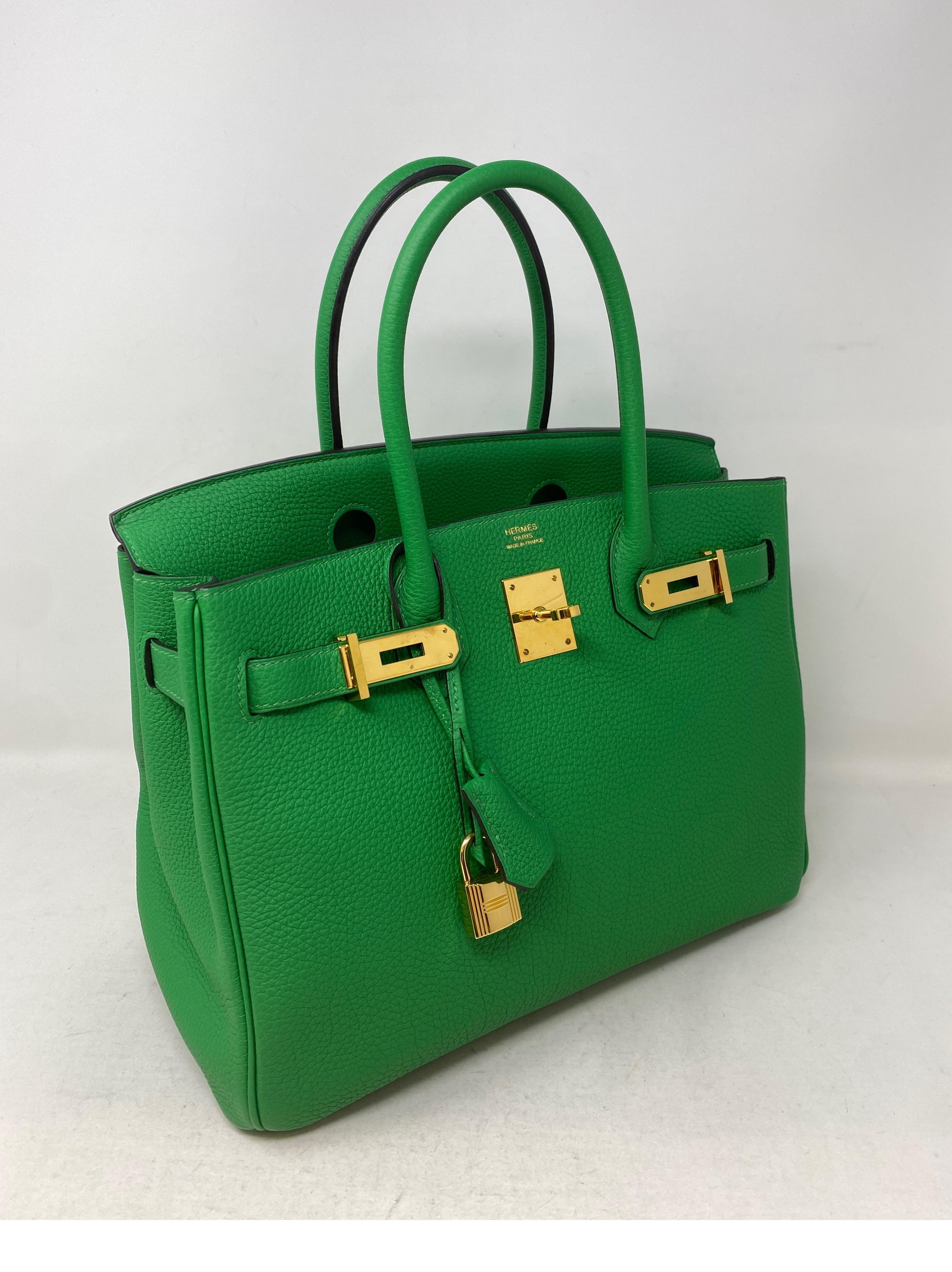 green birkin bag