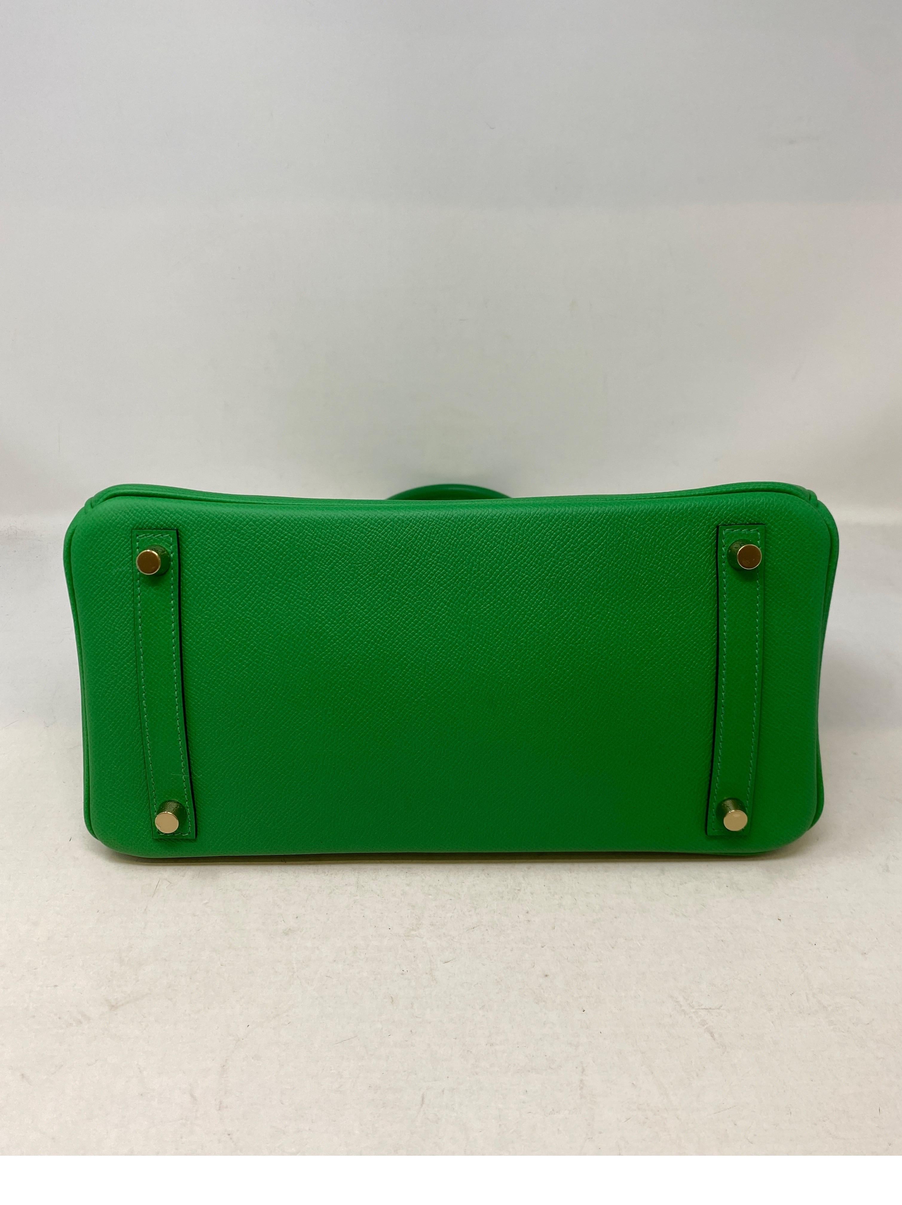 Hermes Bamboo Birkin 30 Bag 2